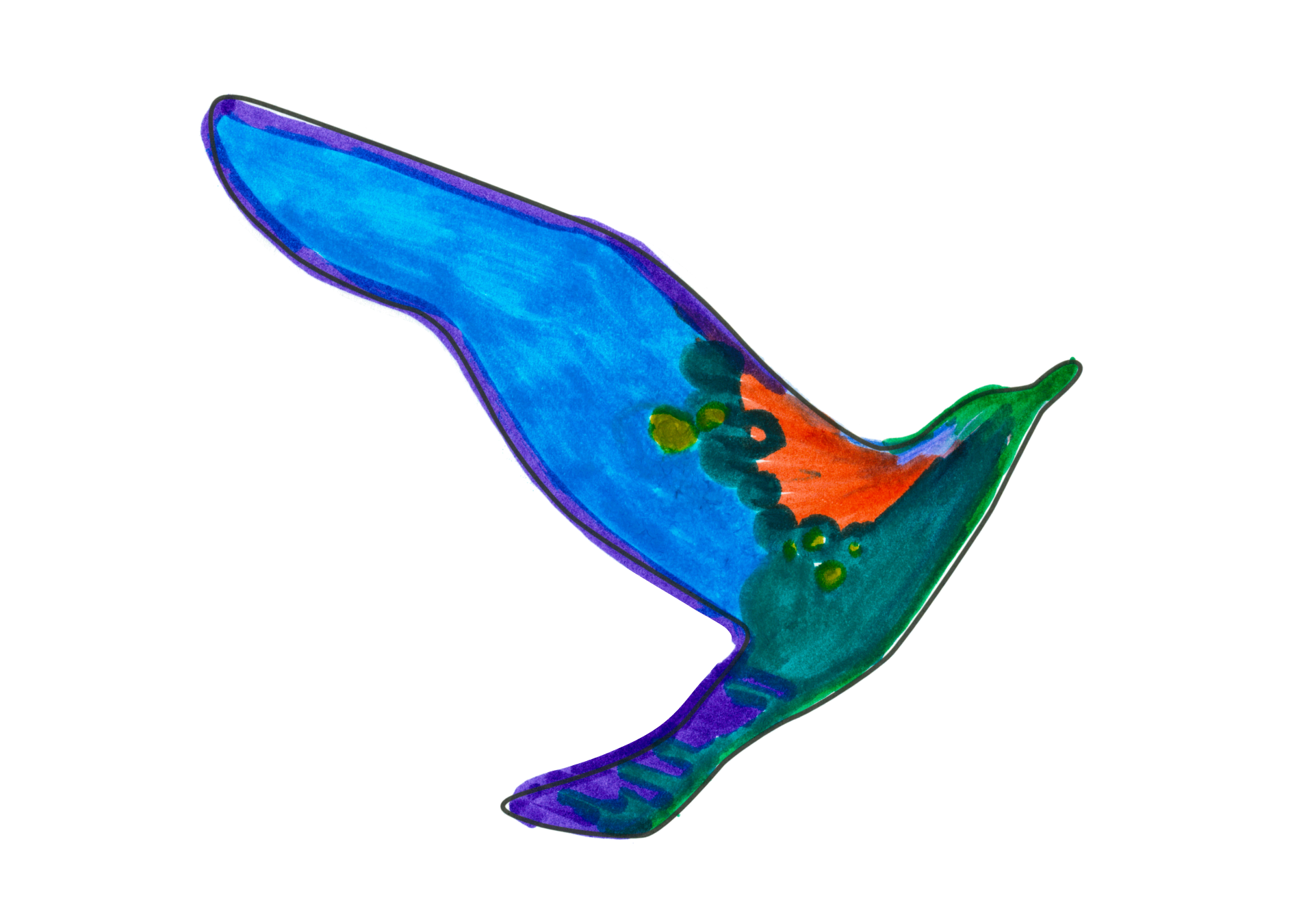 12343 自由飛翔的天氣鳥