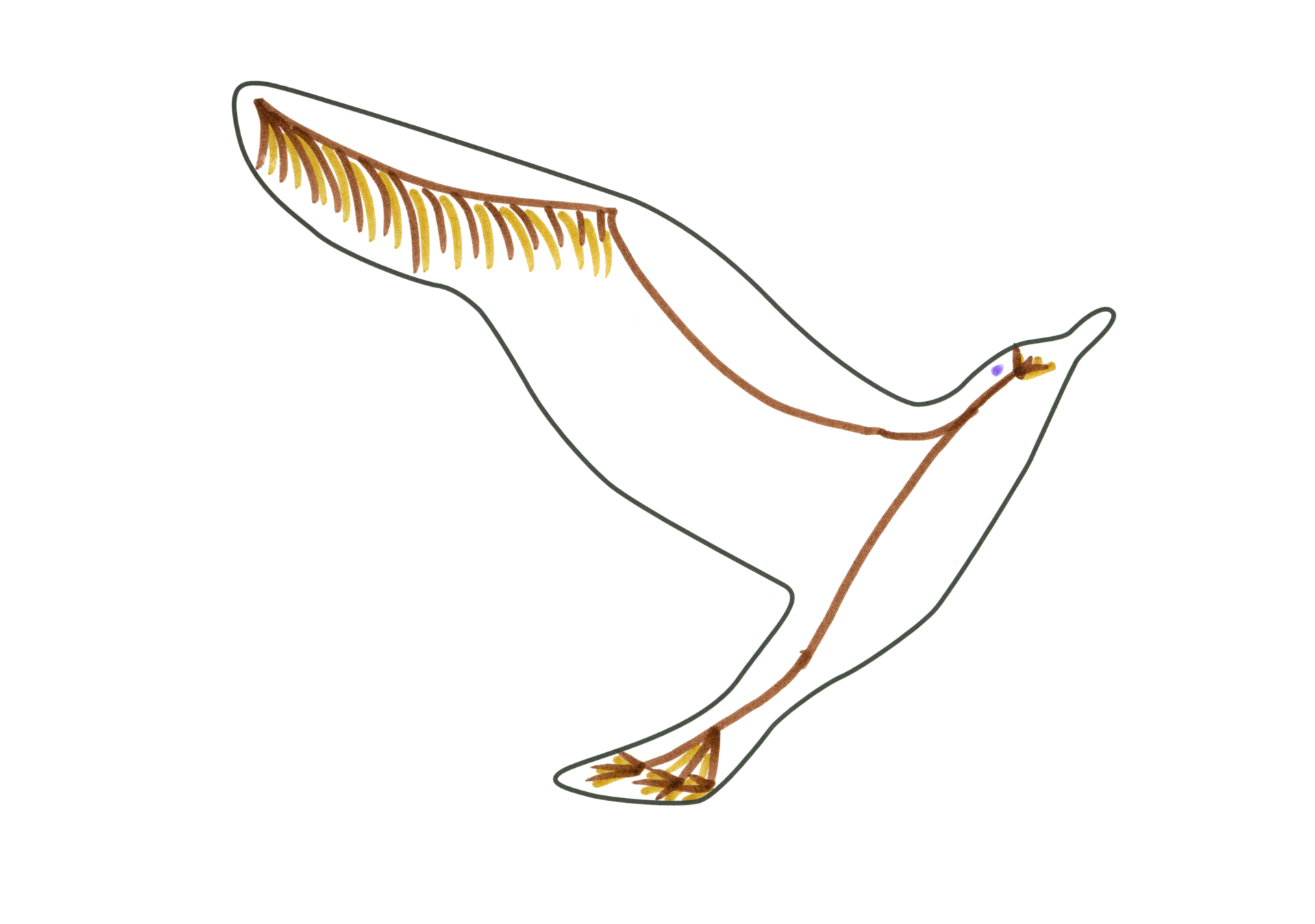12346 自由飛翔的天氣鳥