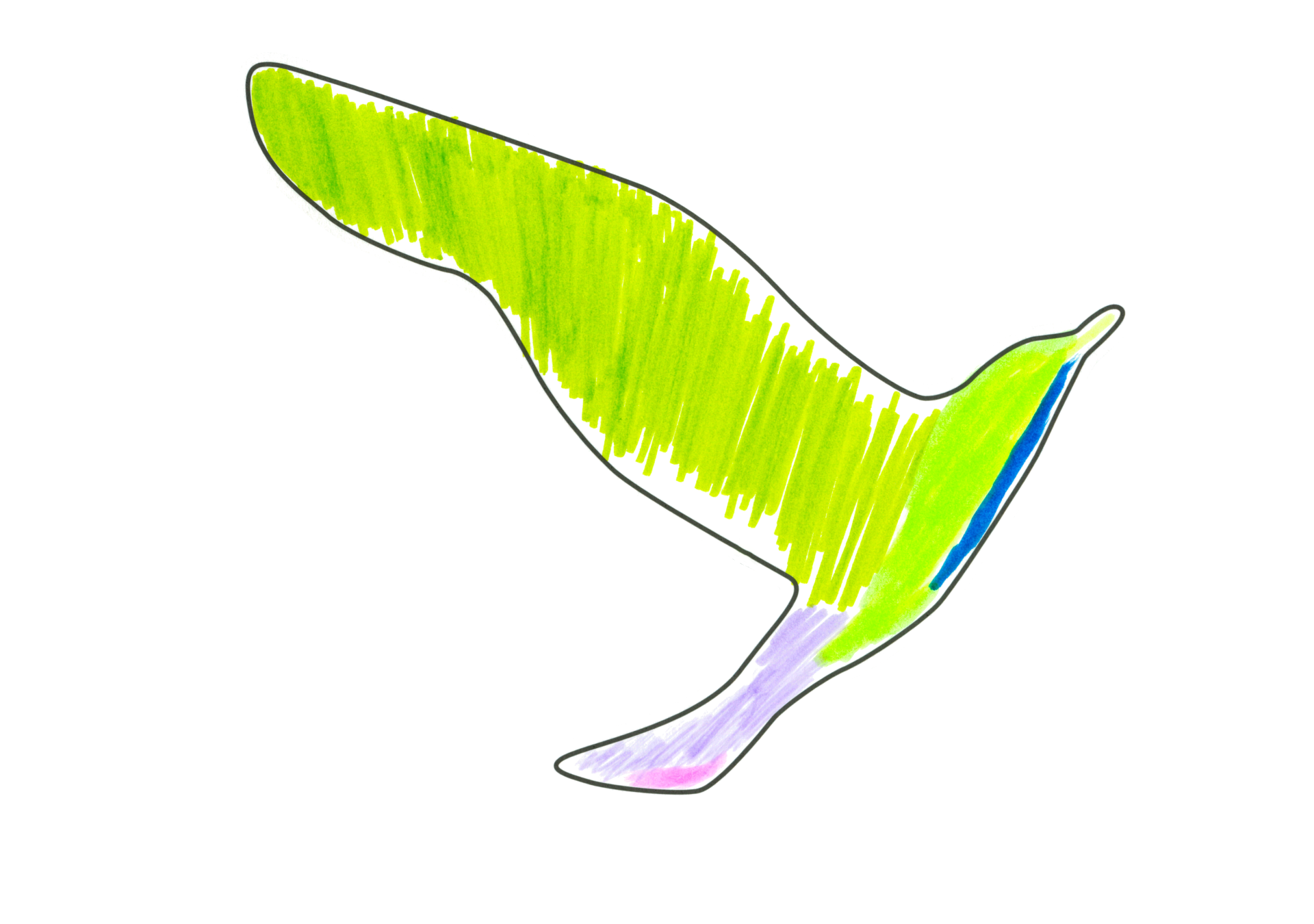12358 自由飛翔的天氣鳥