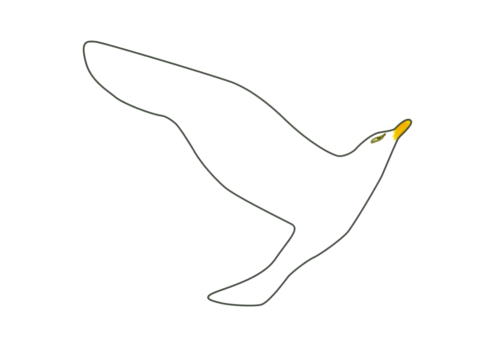 12367 自由飛翔的天氣鳥