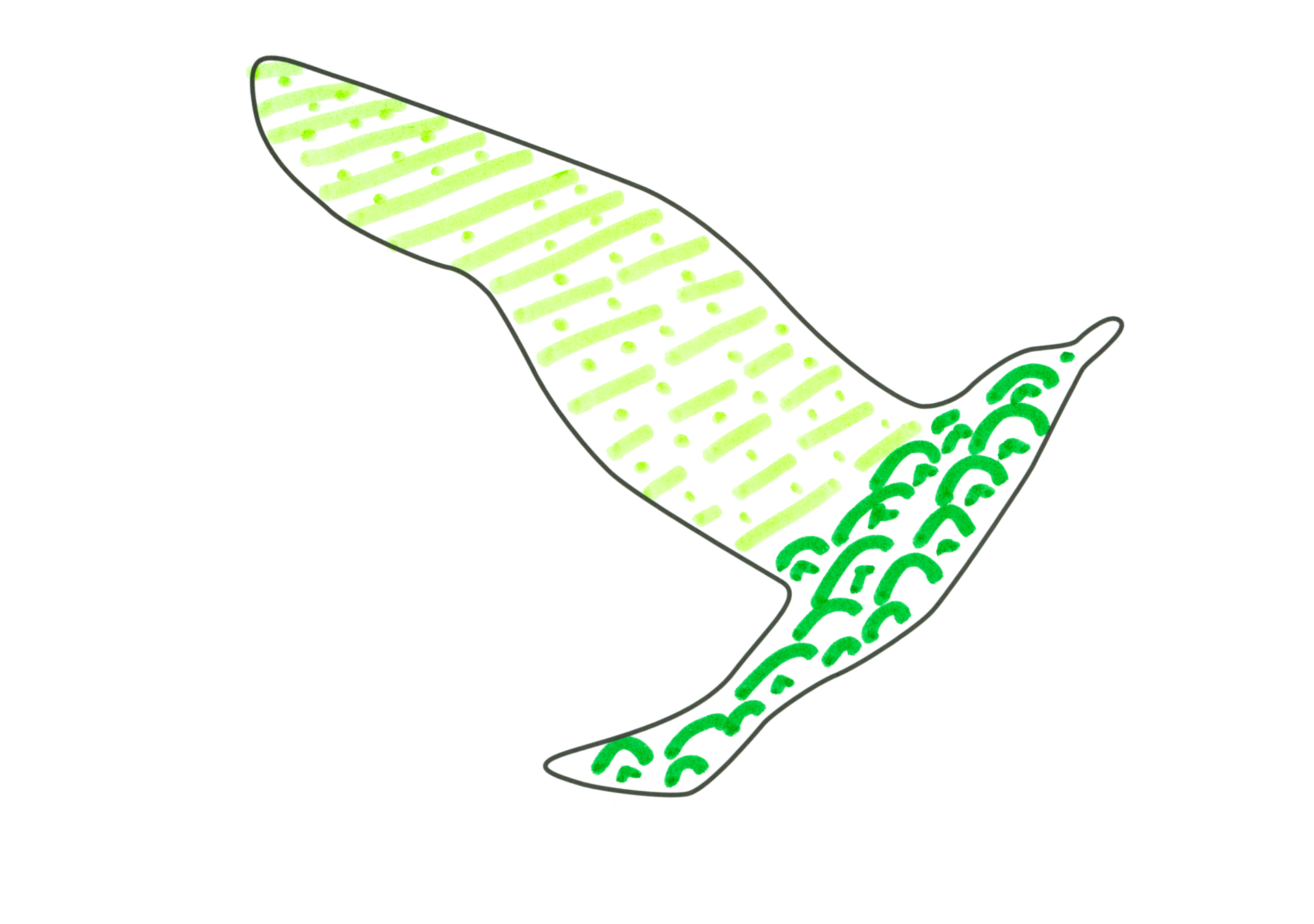 12382 自由飛翔的天氣鳥