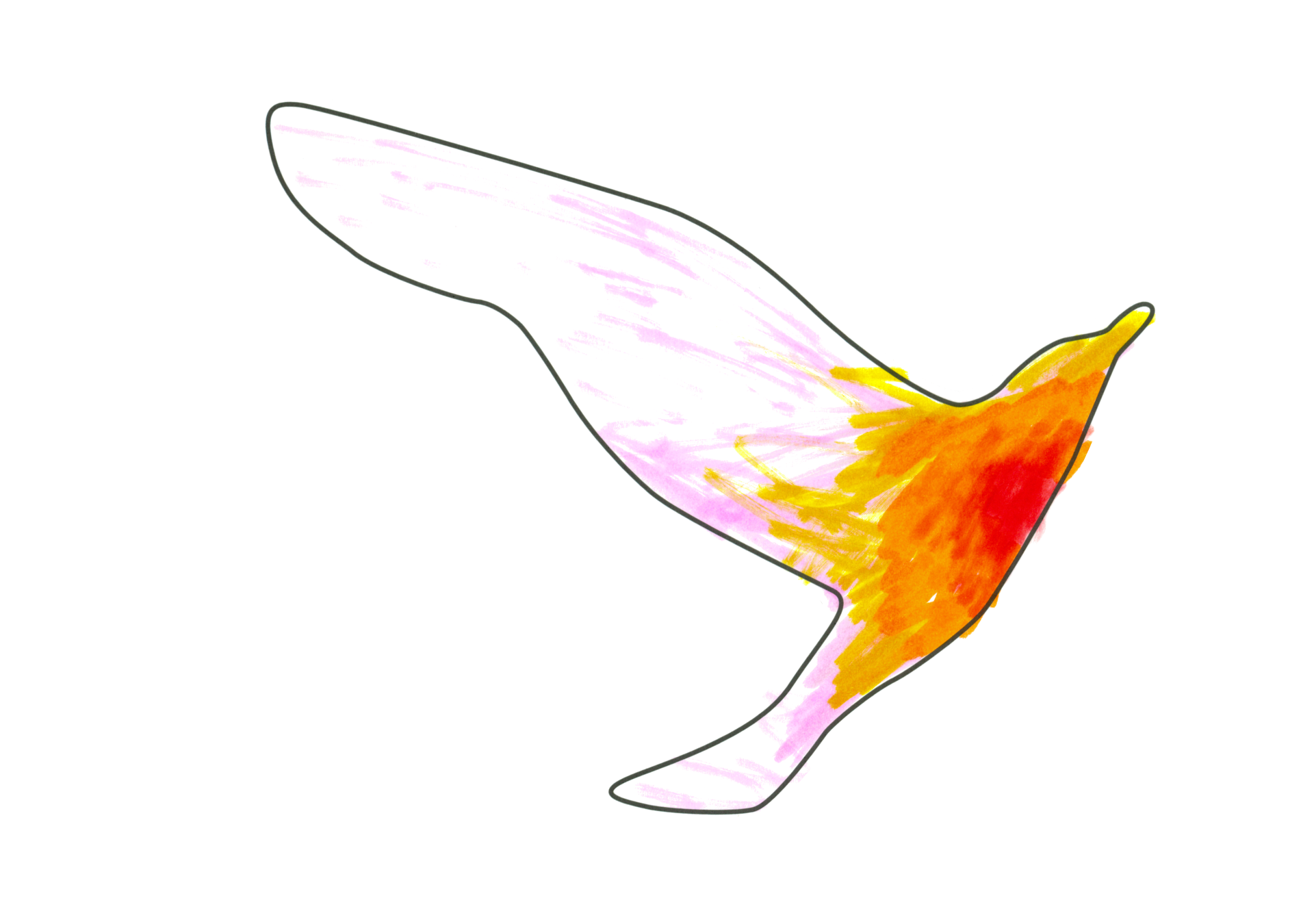 12388 自由飛翔的天氣鳥