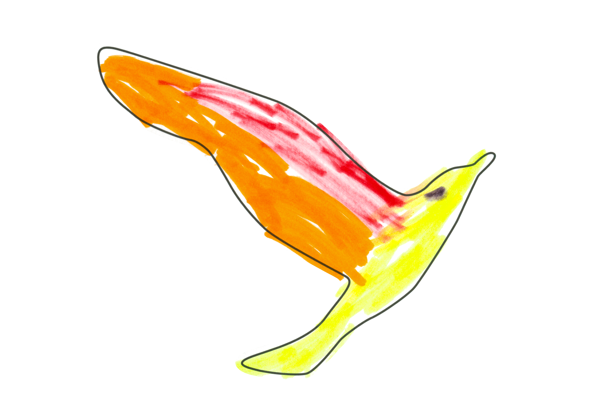 12399 自由飛翔的天氣鳥