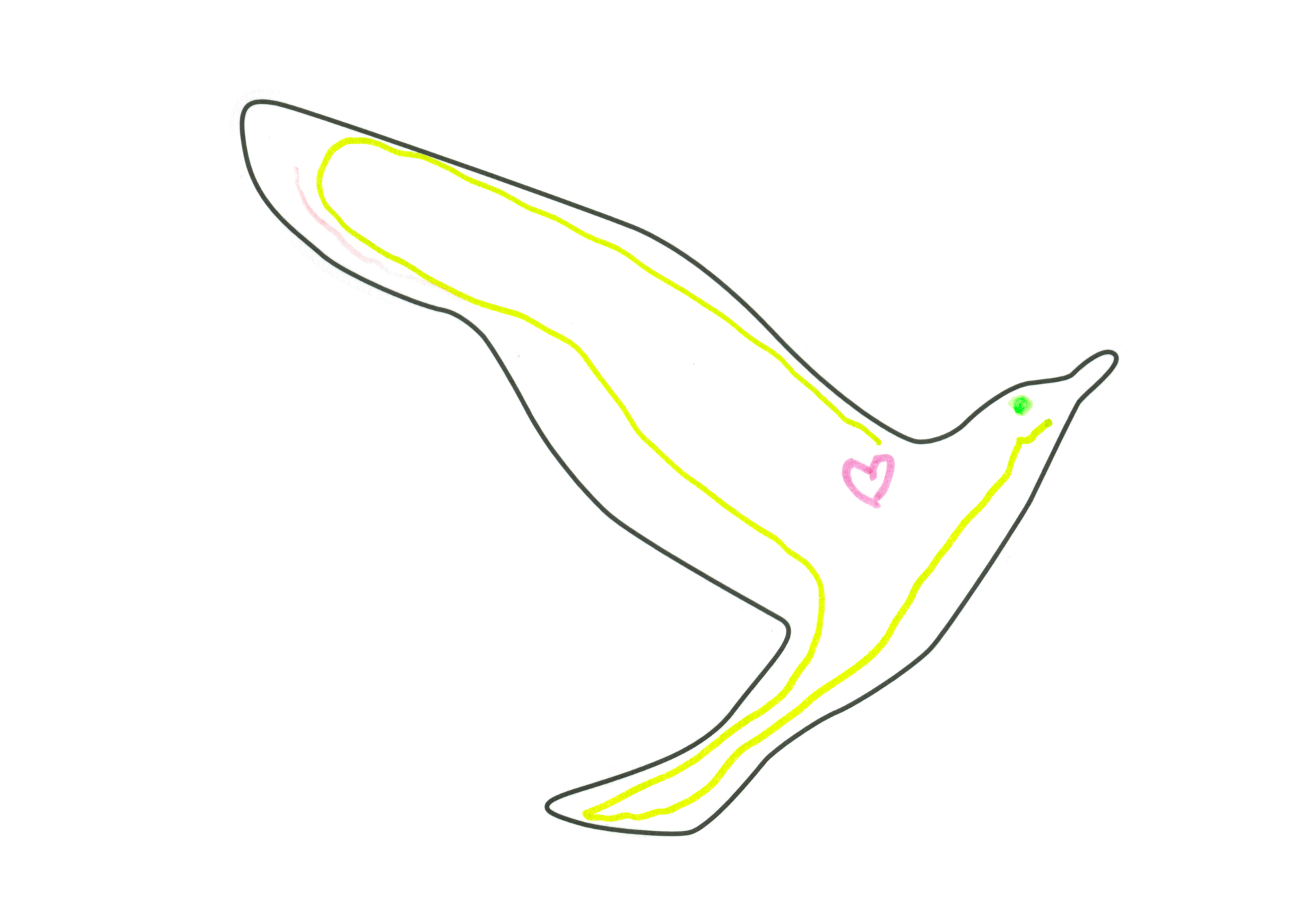 12435 自由飛翔的天氣鳥