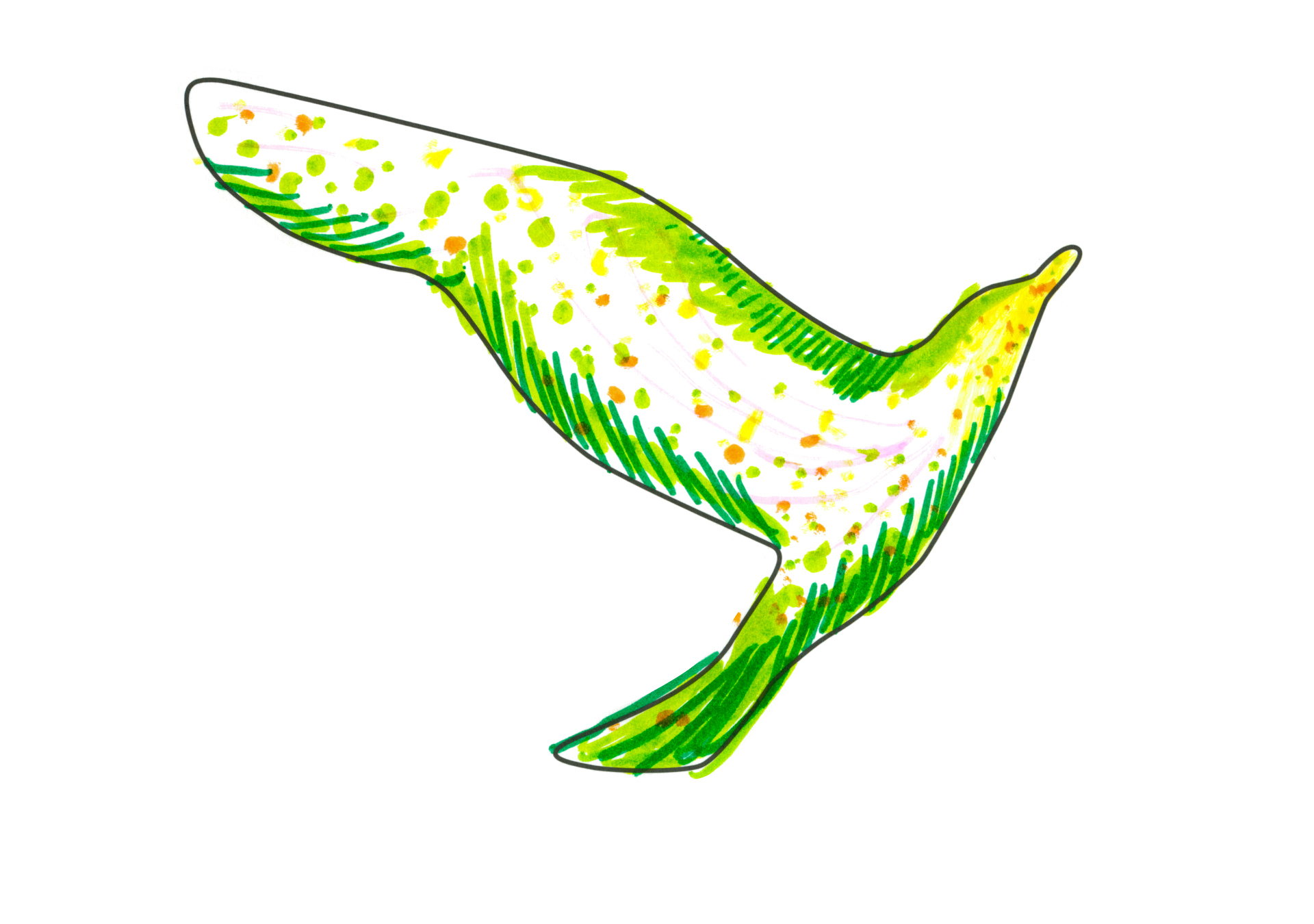 12441 自由飛翔的天氣鳥