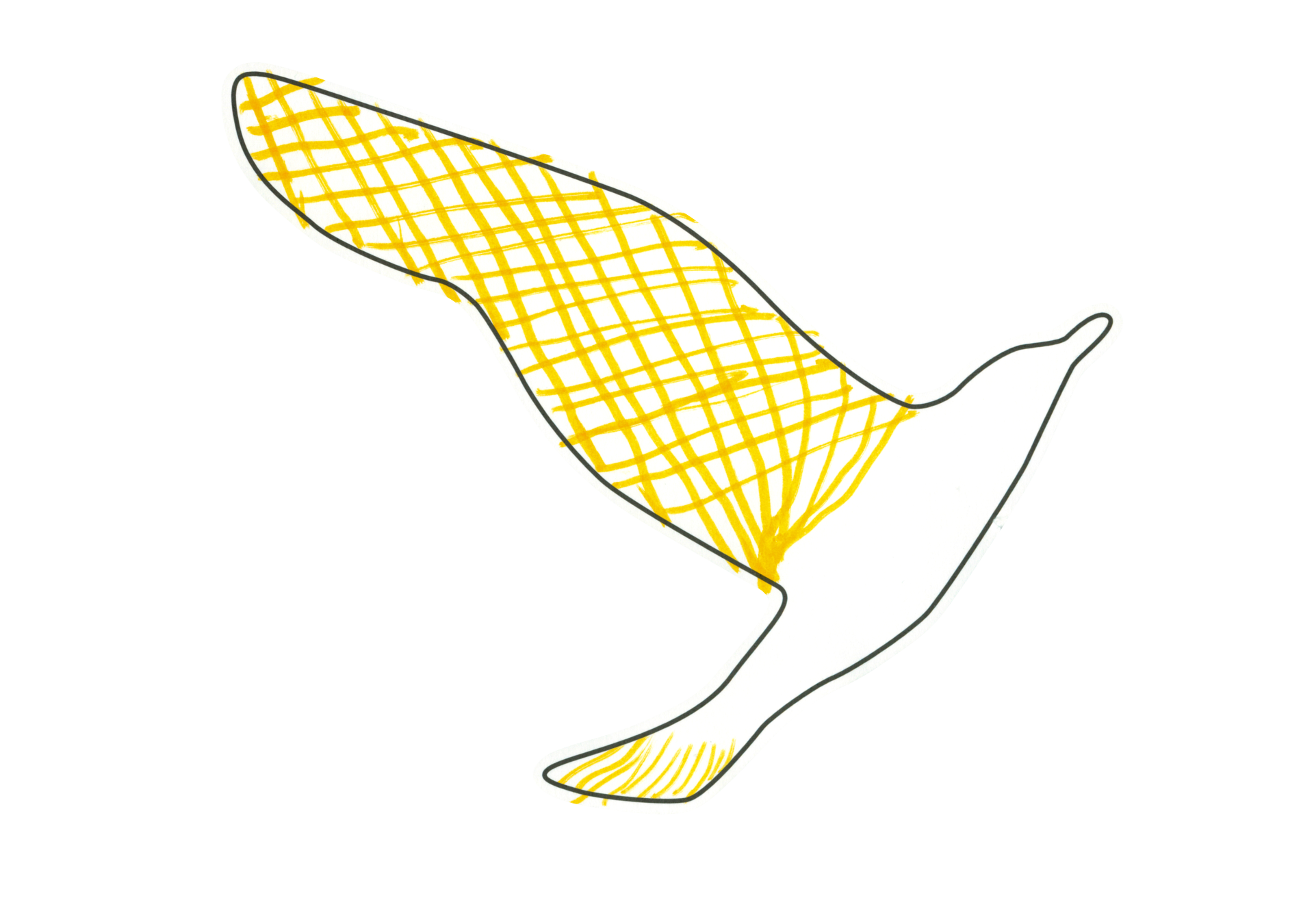 12453 自由飛翔的天氣鳥