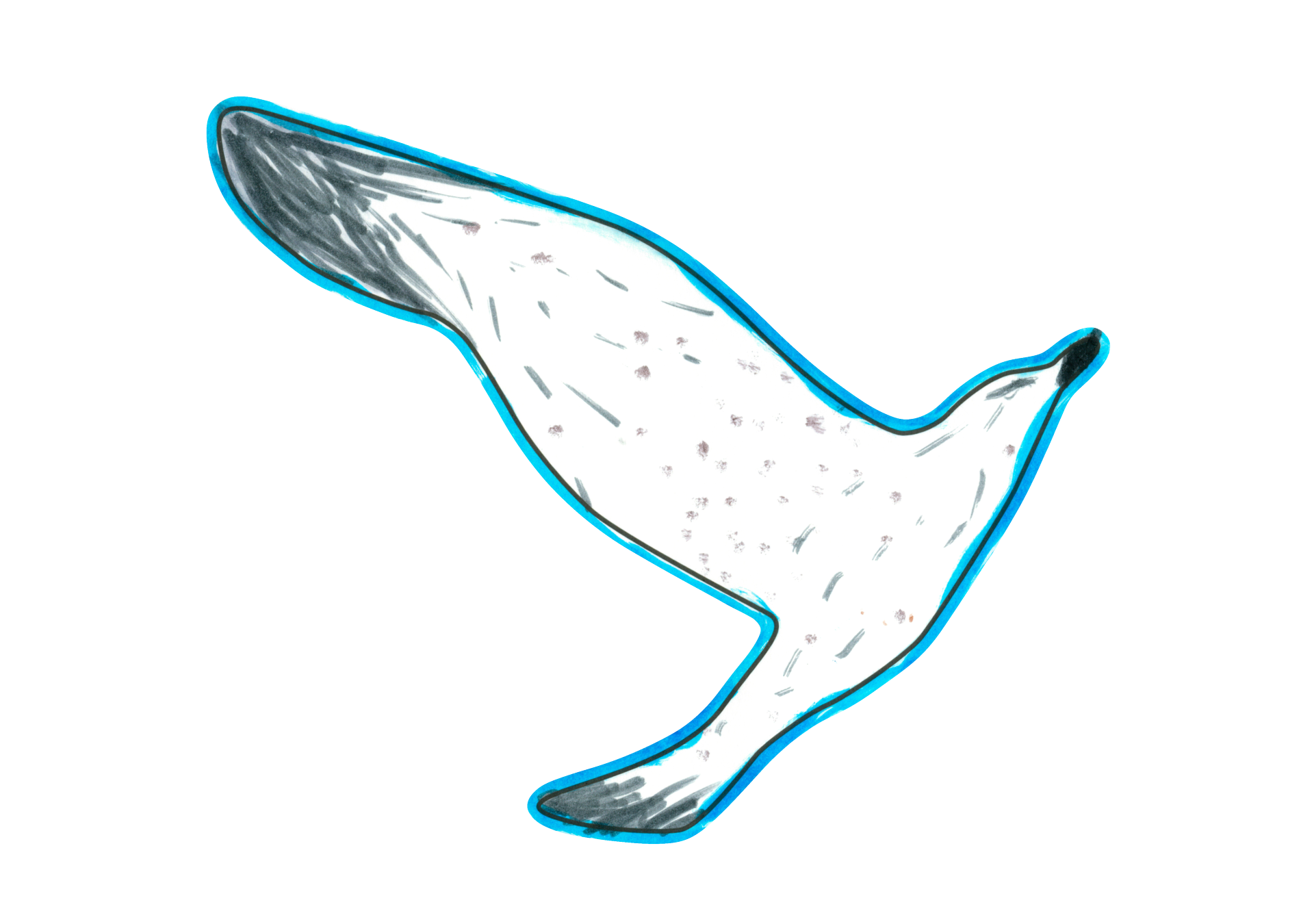 12455 自由飛翔的天氣鳥