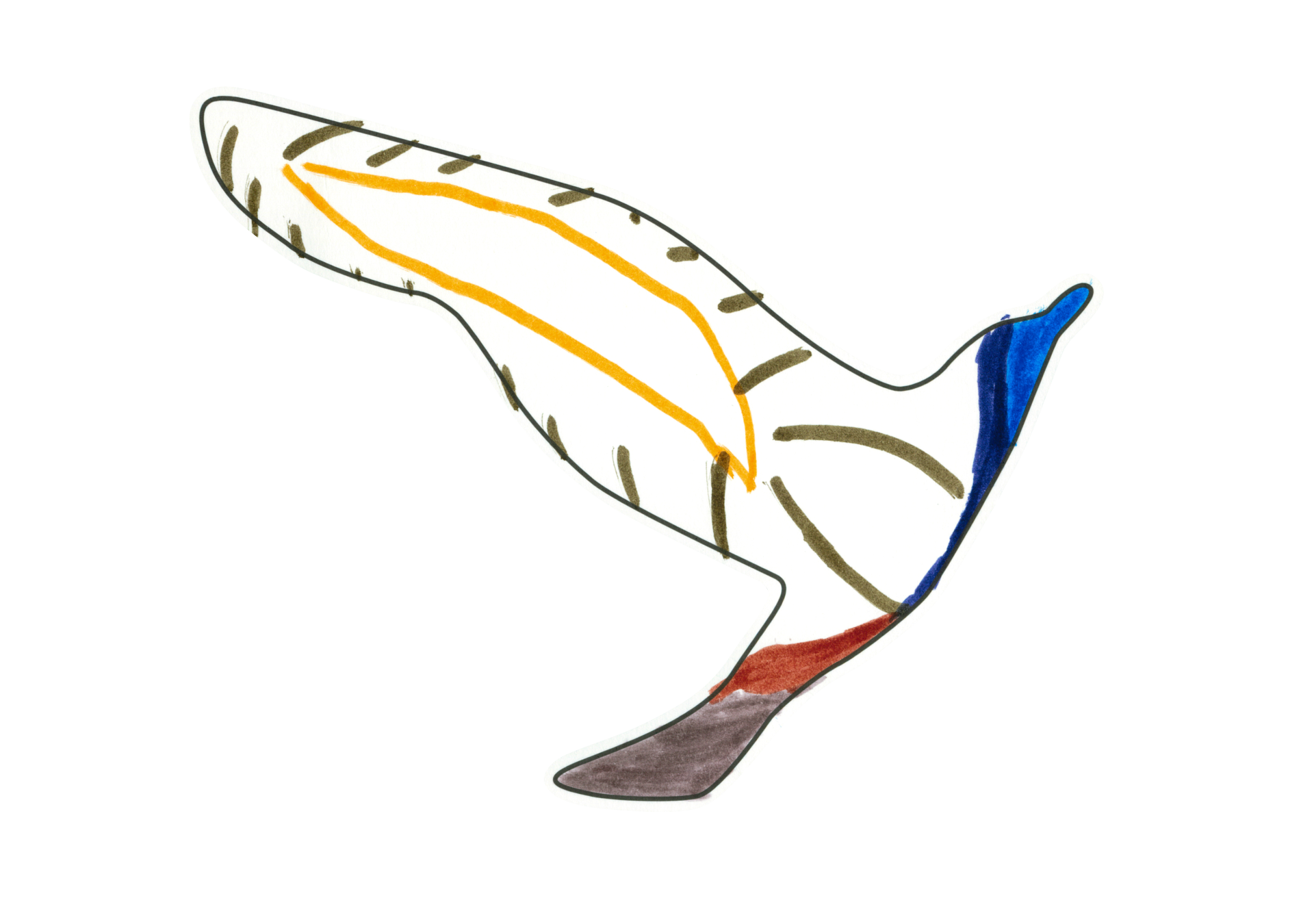 12465 自由飛翔的天氣鳥
