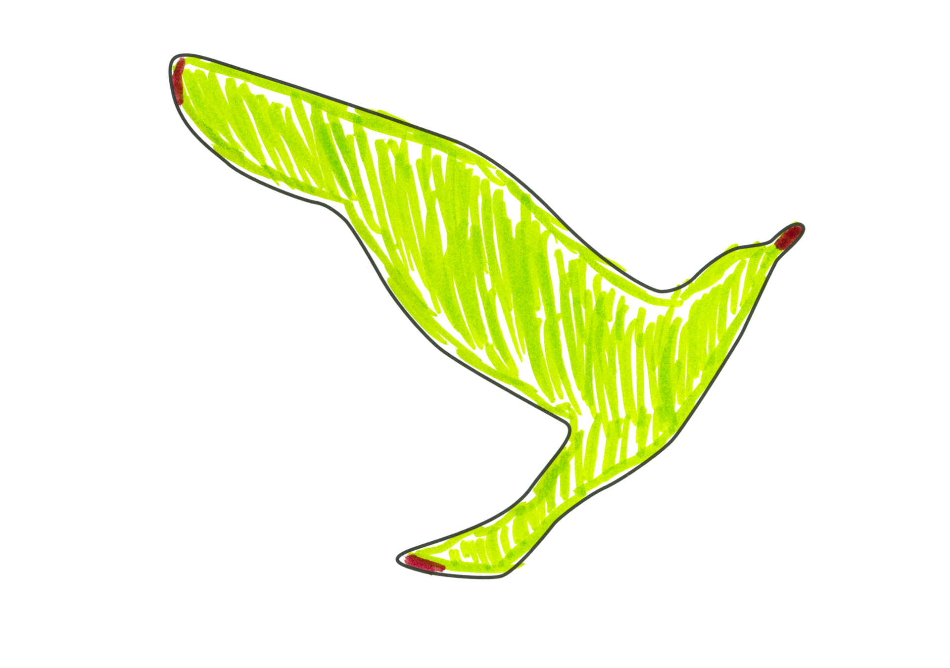 12470 自由飛翔的天氣鳥