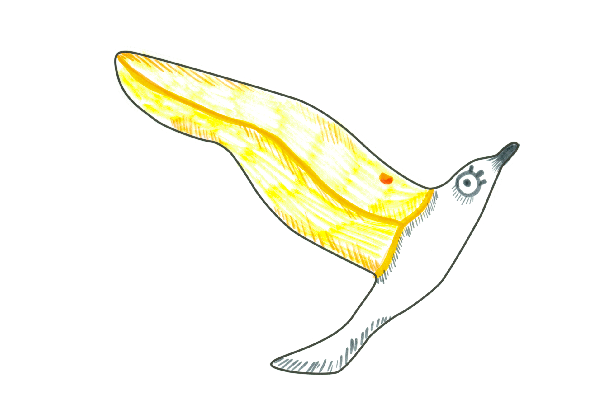 12476 自由飛翔的天氣鳥
