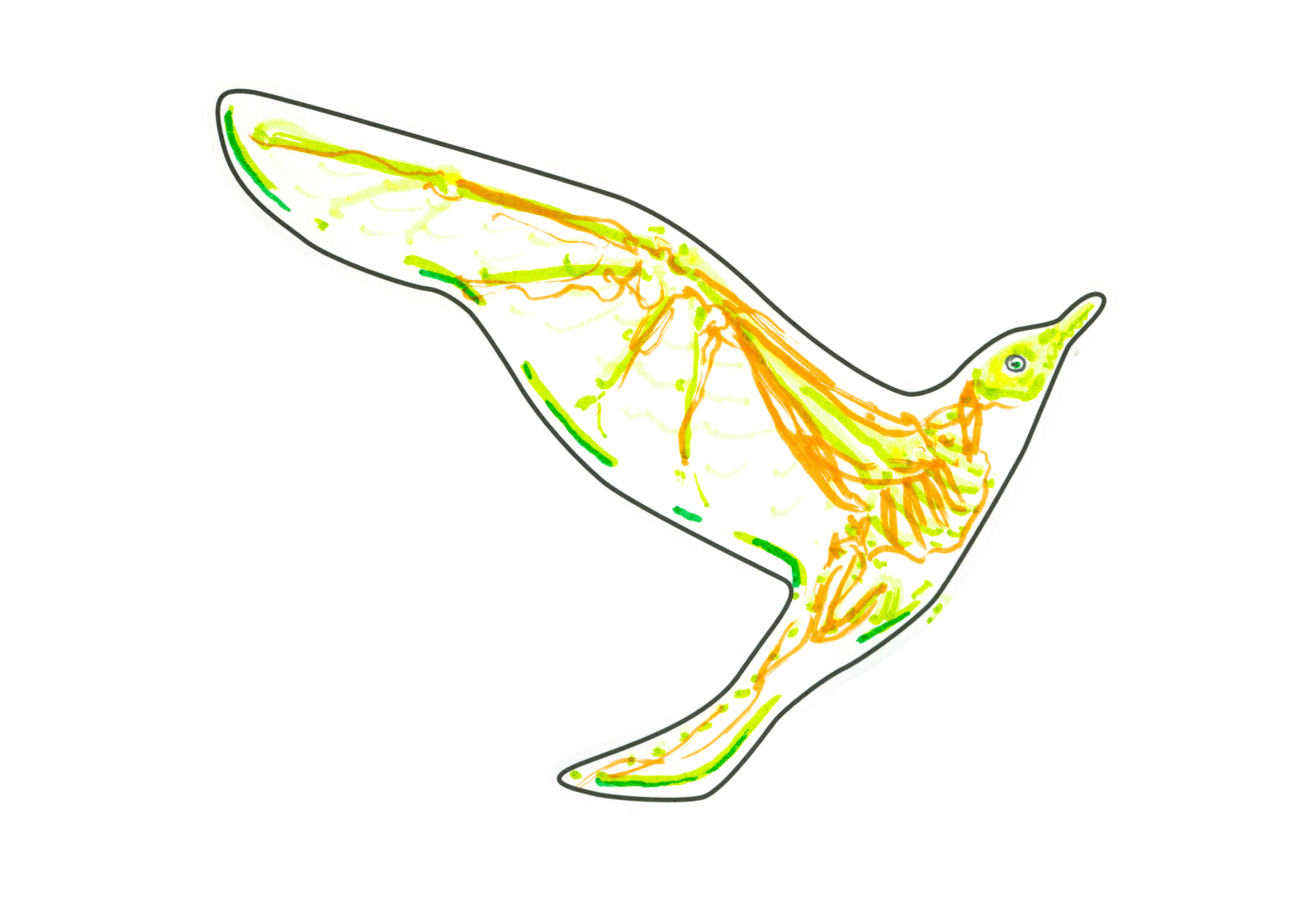 12493 自由飛翔的天氣鳥