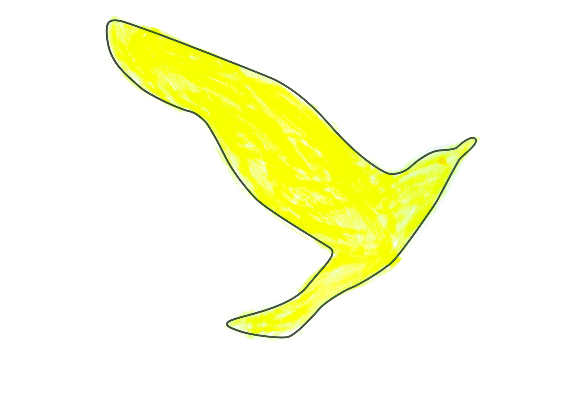 12494 自由飛翔的天氣鳥