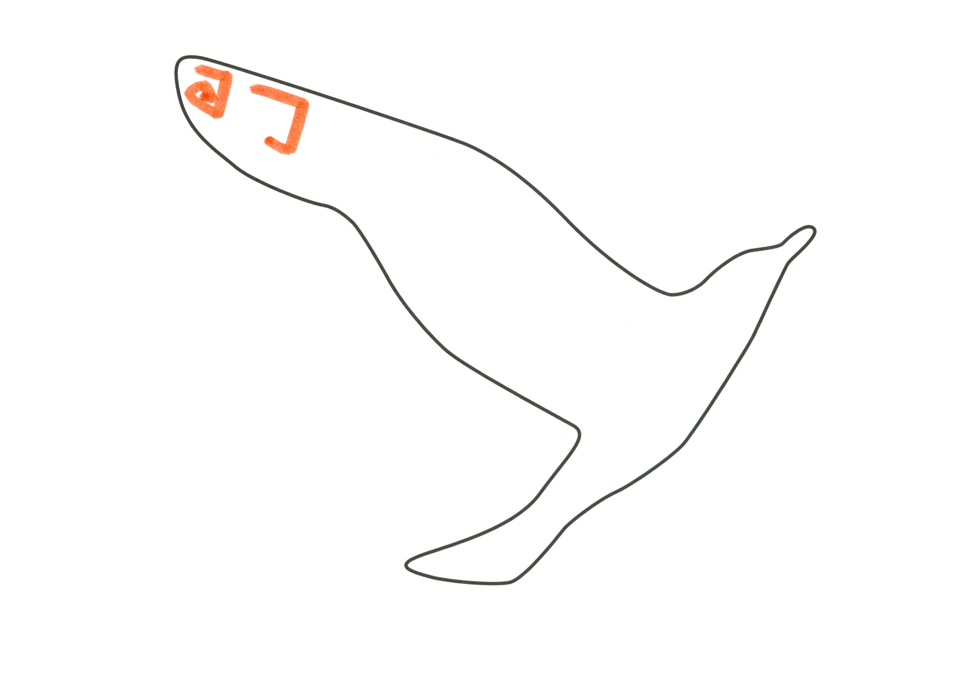自由飛翔的天氣鳥