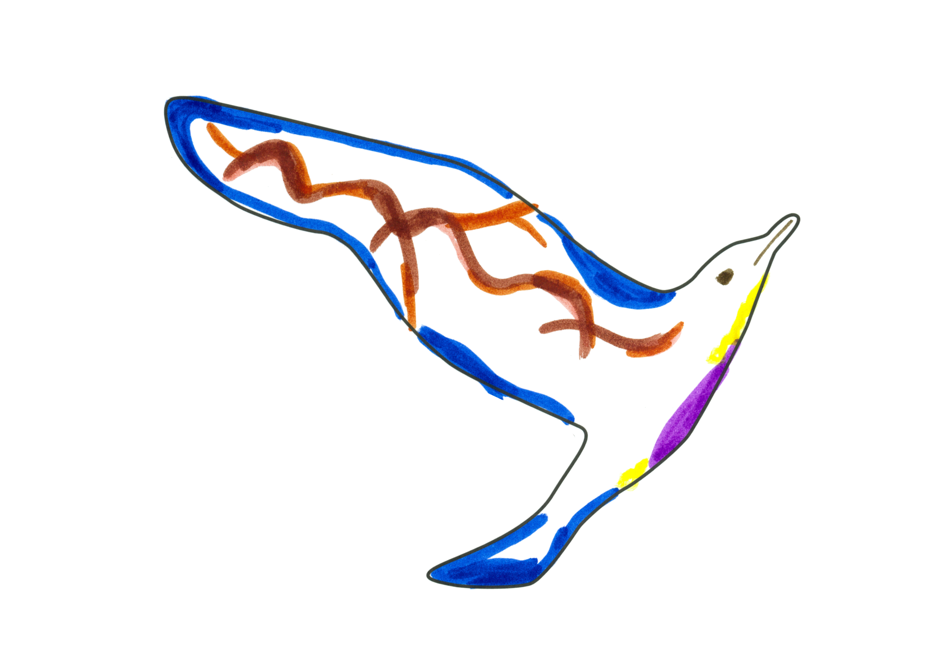 12504 自由飛翔的天氣鳥