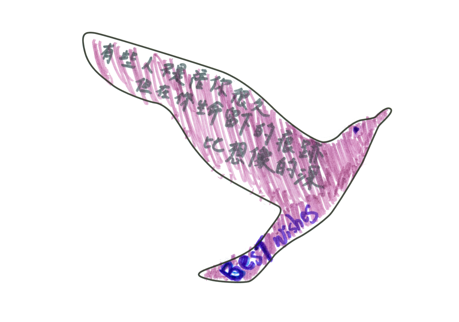 12511 自由飛翔的天氣鳥