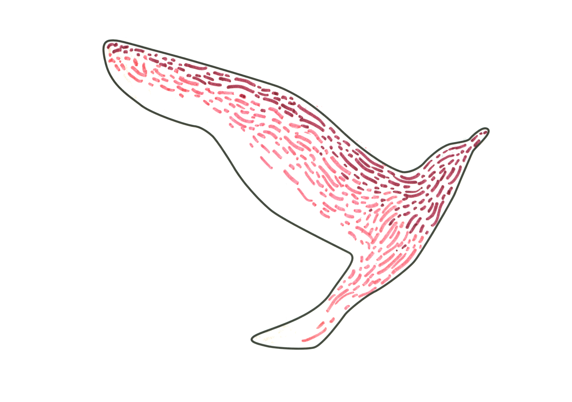12546 自由飛翔的天氣鳥