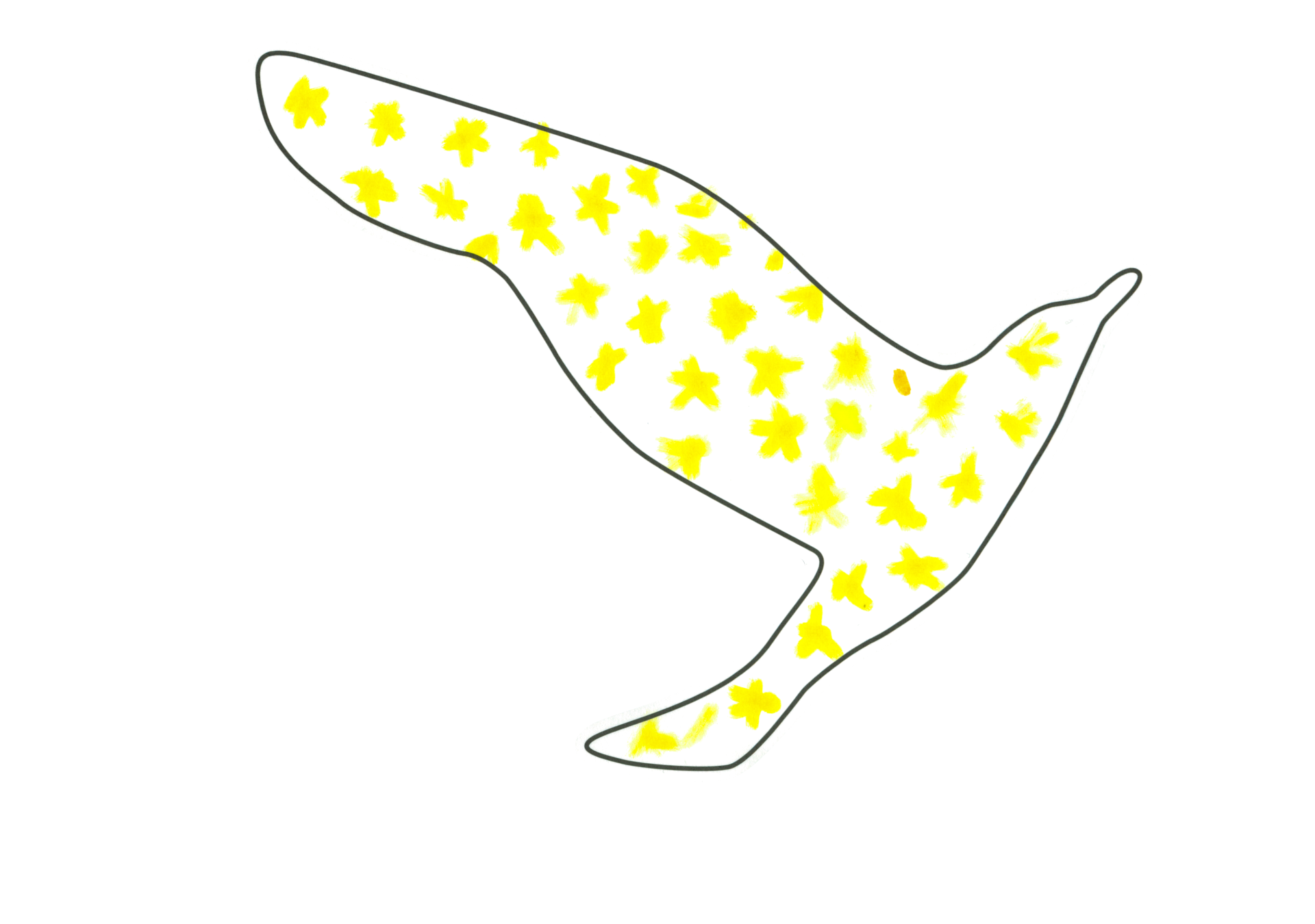 12550 自由飛翔的天氣鳥