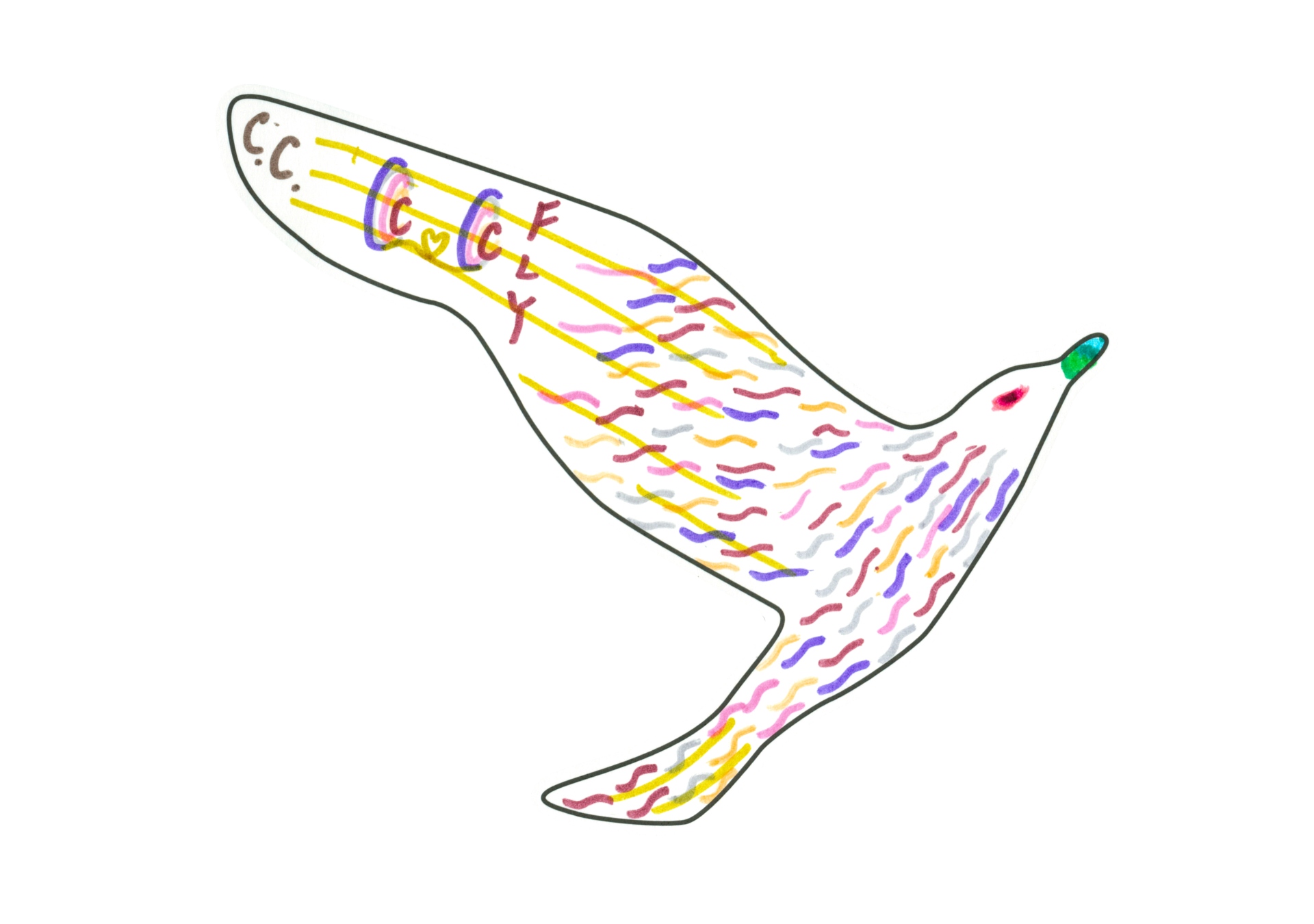 12571 自由飛翔的天氣鳥