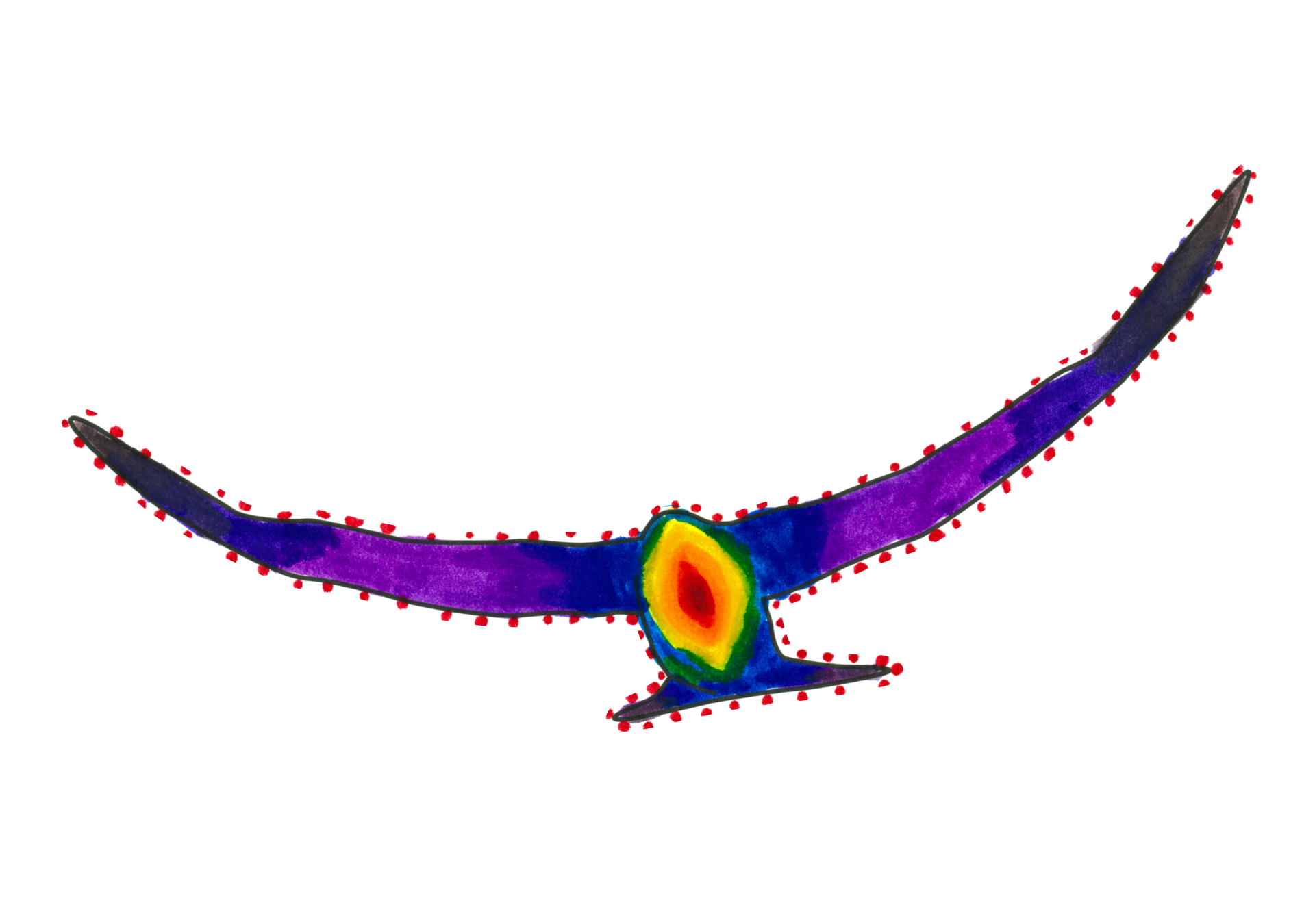 15351 自由飛翔的天氣鳥