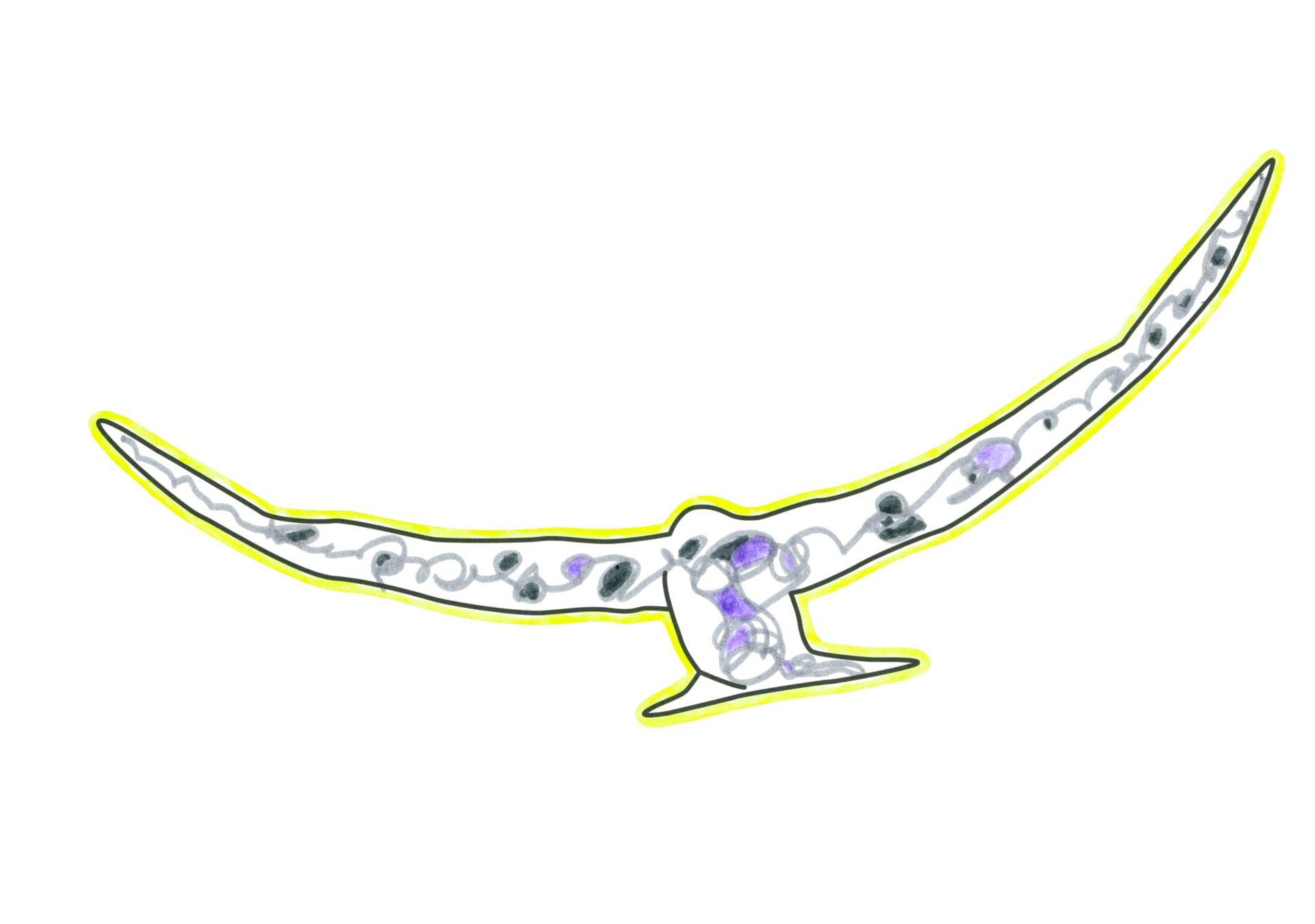 15366 自由飛翔的天氣鳥