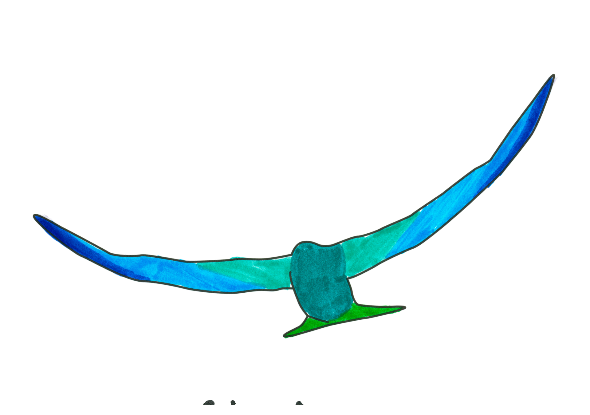15680 自由飛翔的天氣鳥
