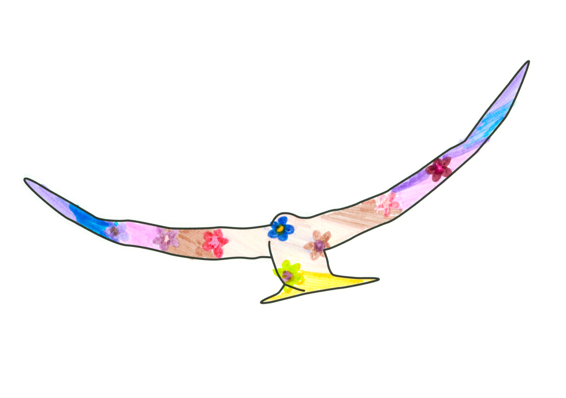 15933 自由飛翔的天氣鳥