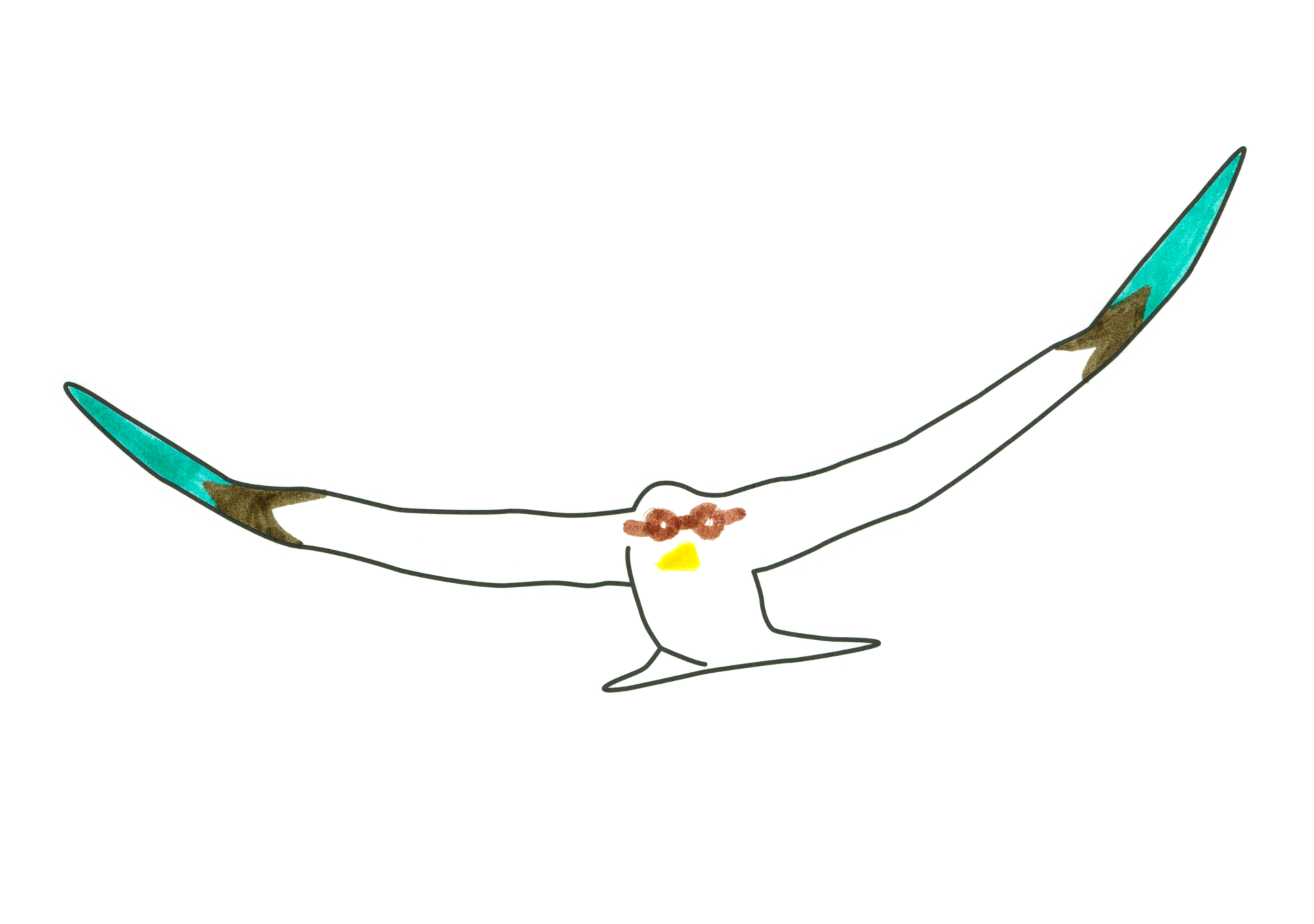 自由飛翔的天氣鳥