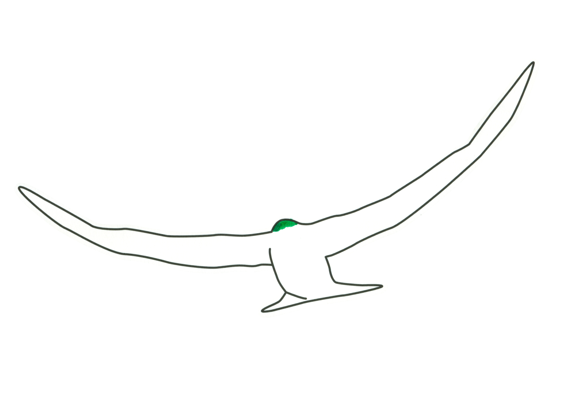 16113 自由飛翔的天氣鳥