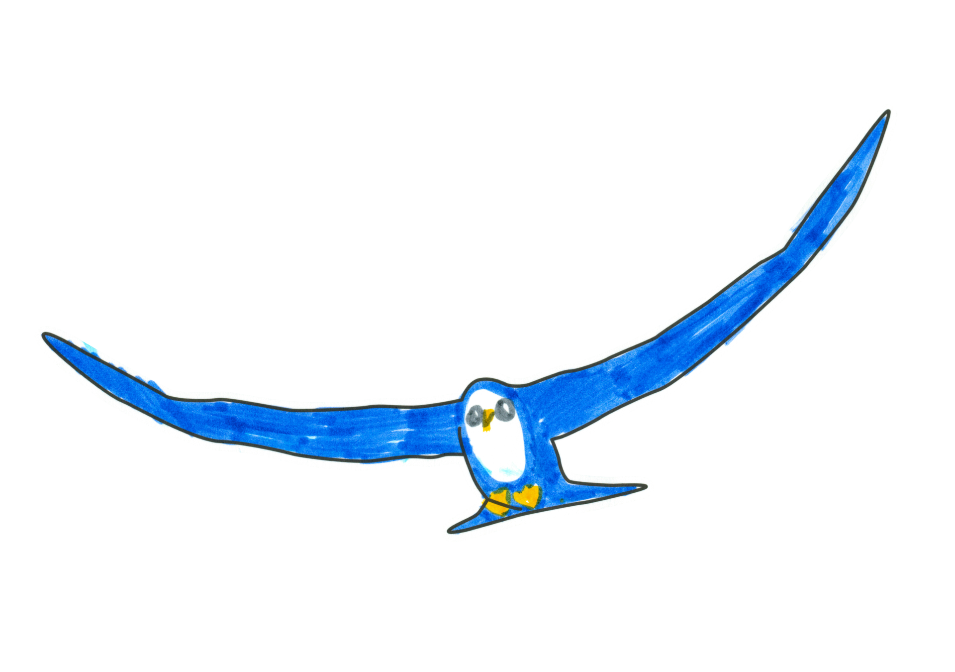 16119 自由飛翔的天氣鳥