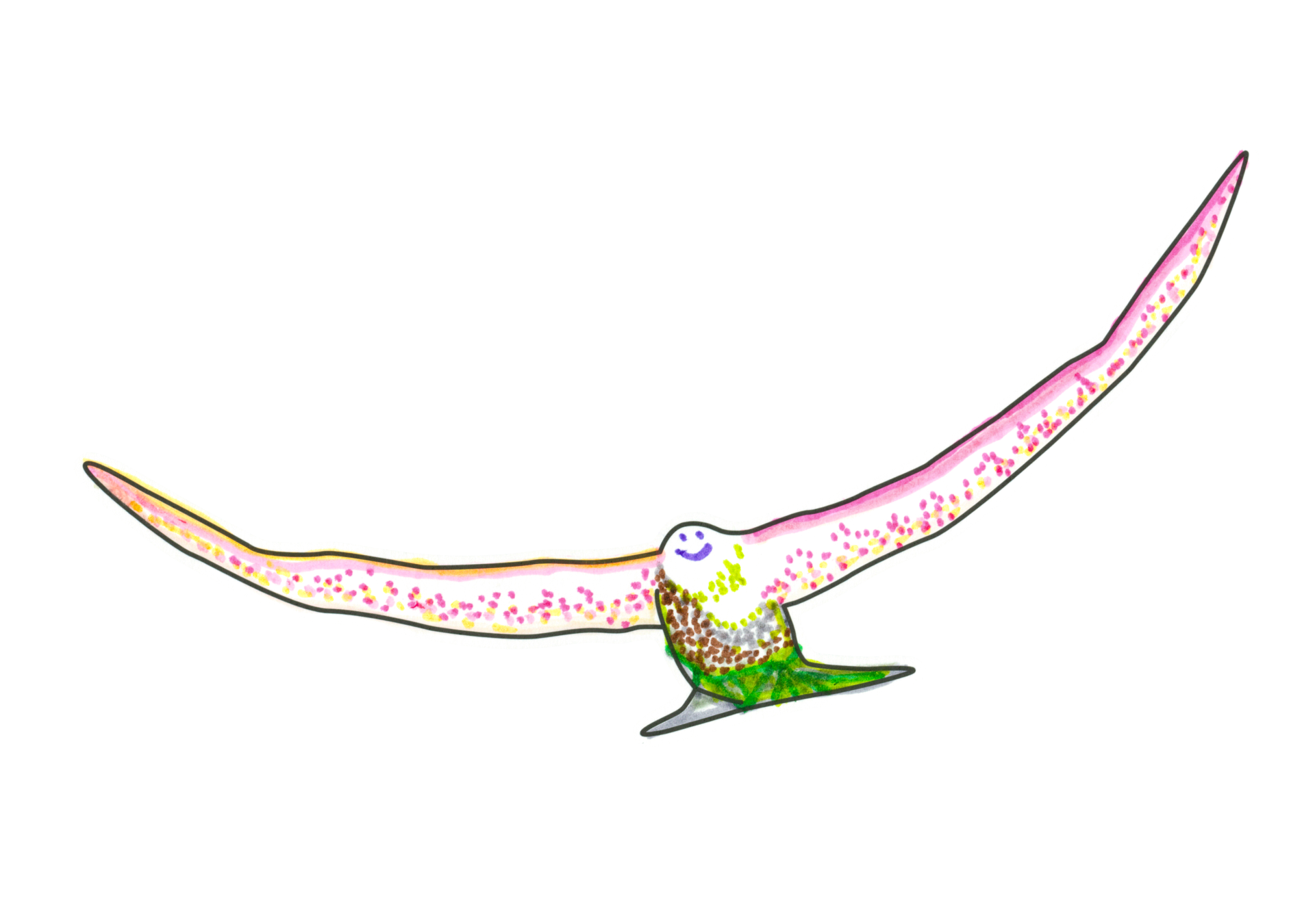 16132 自由飛翔的天氣鳥