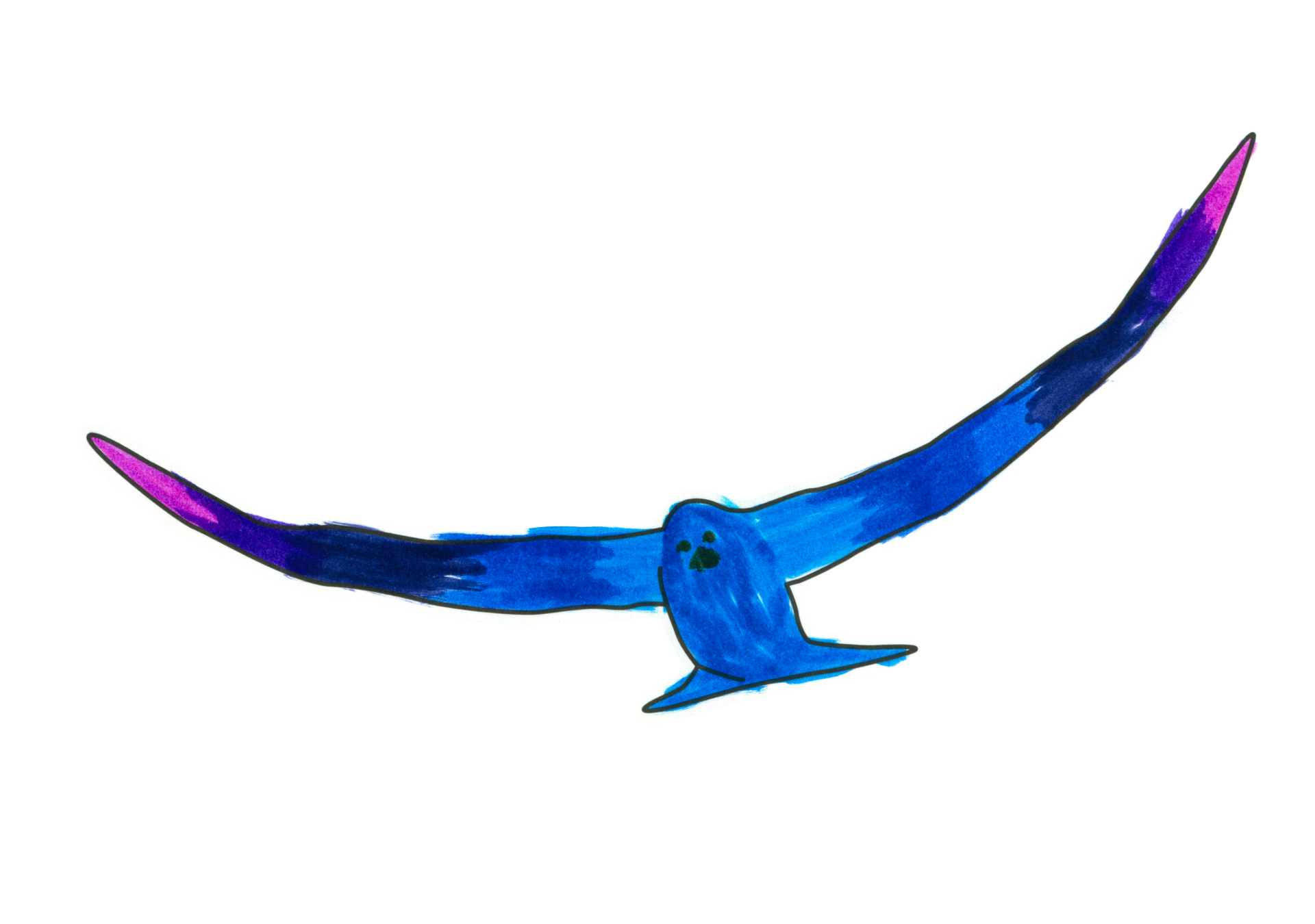 16134 自由飛翔的天氣鳥