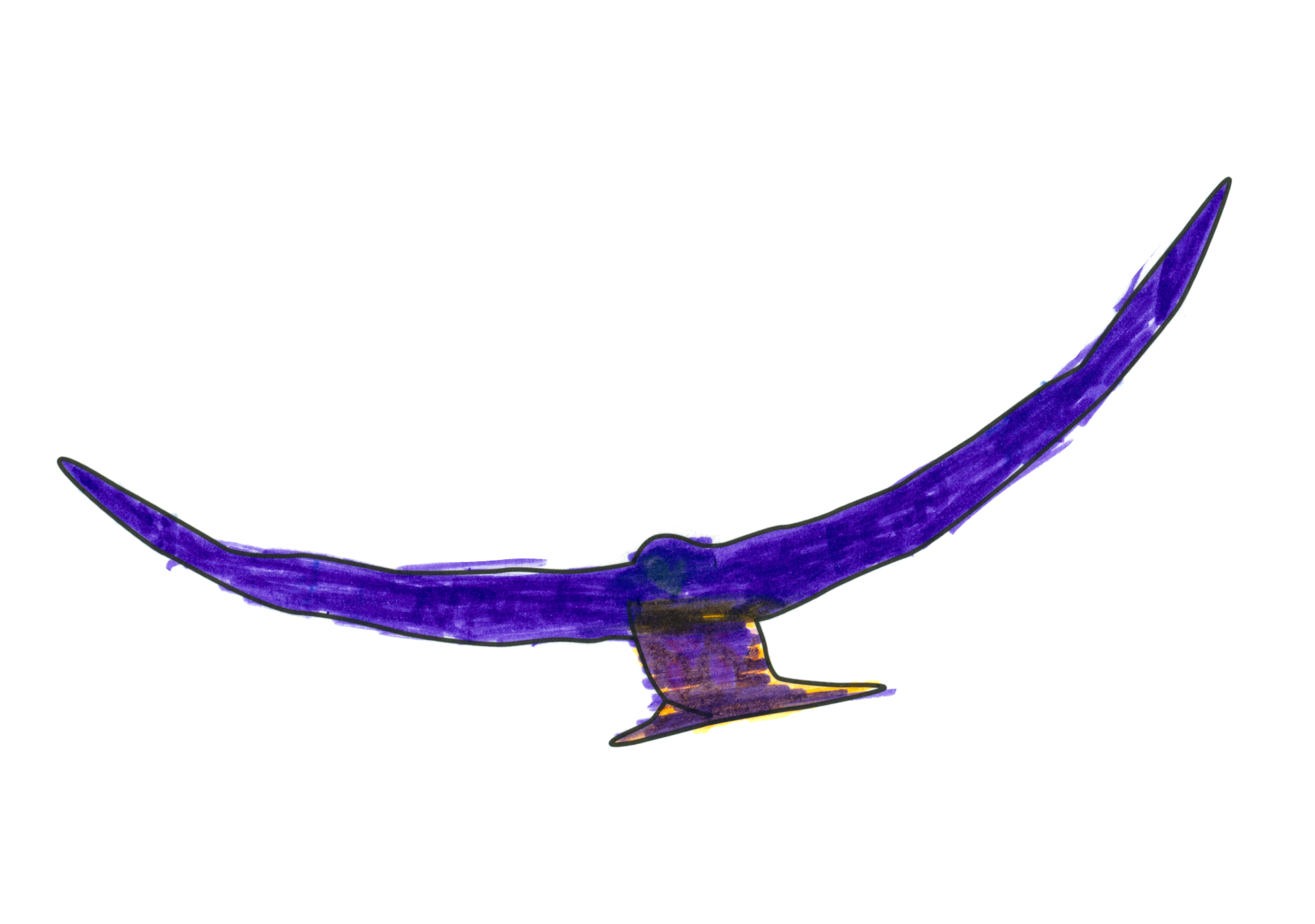 16147 自由飛翔的天氣鳥