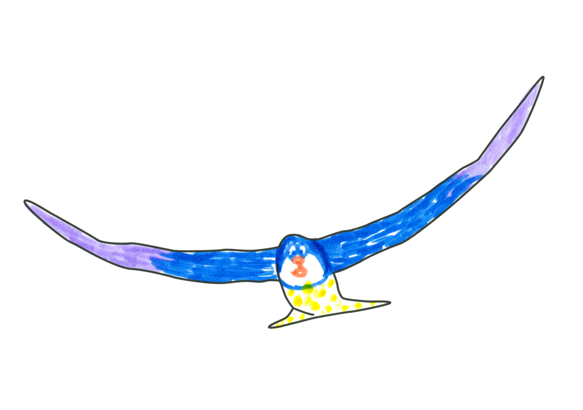 自由飛翔的天氣鳥