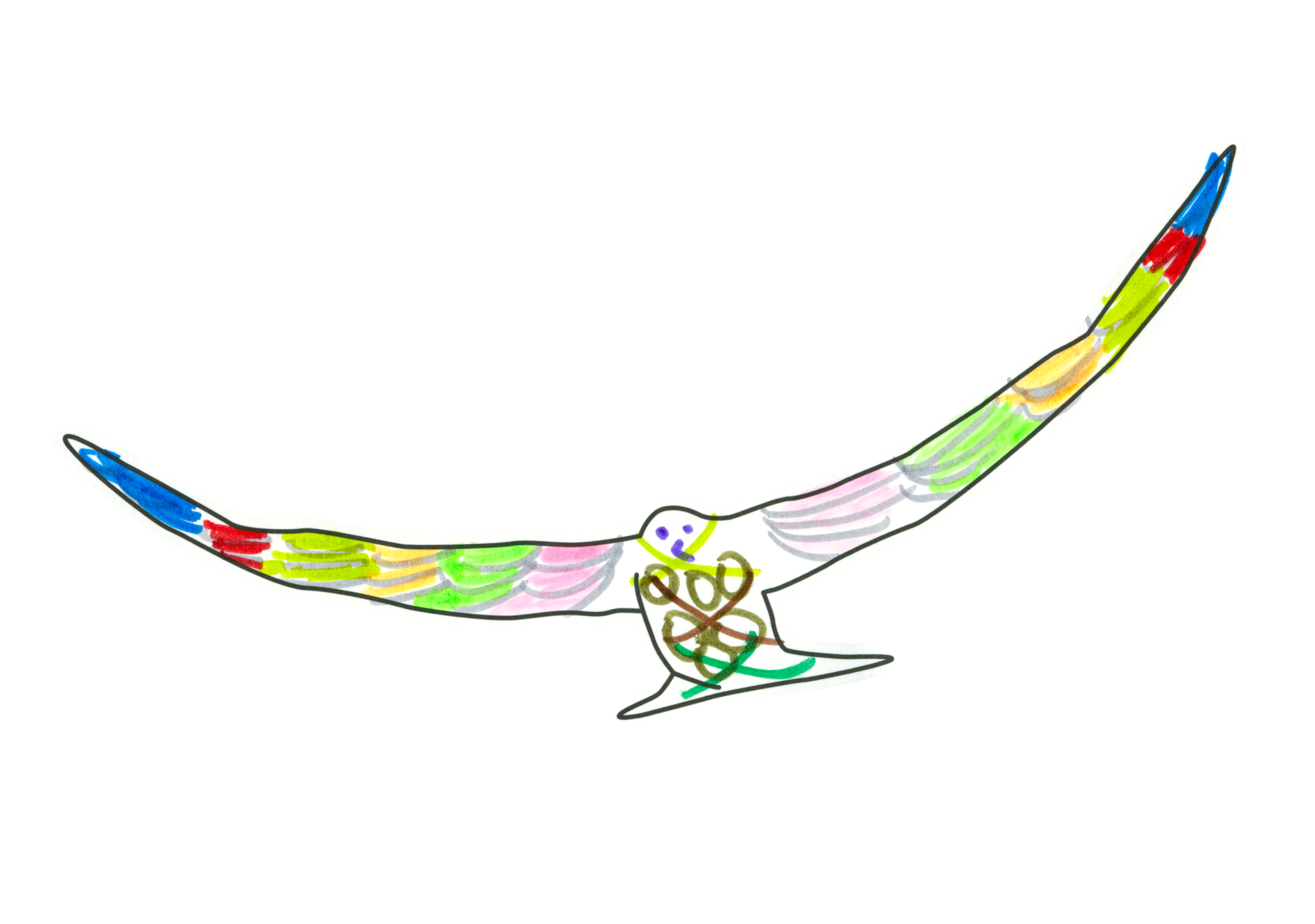 自由飛翔的天氣鳥