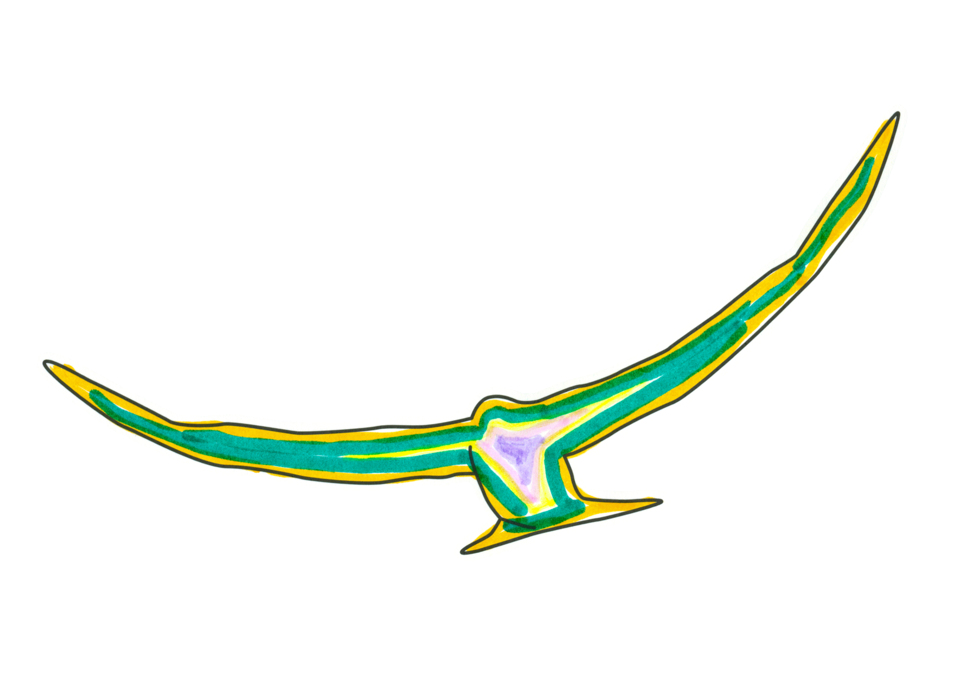 自由飛翔的天氣鳥