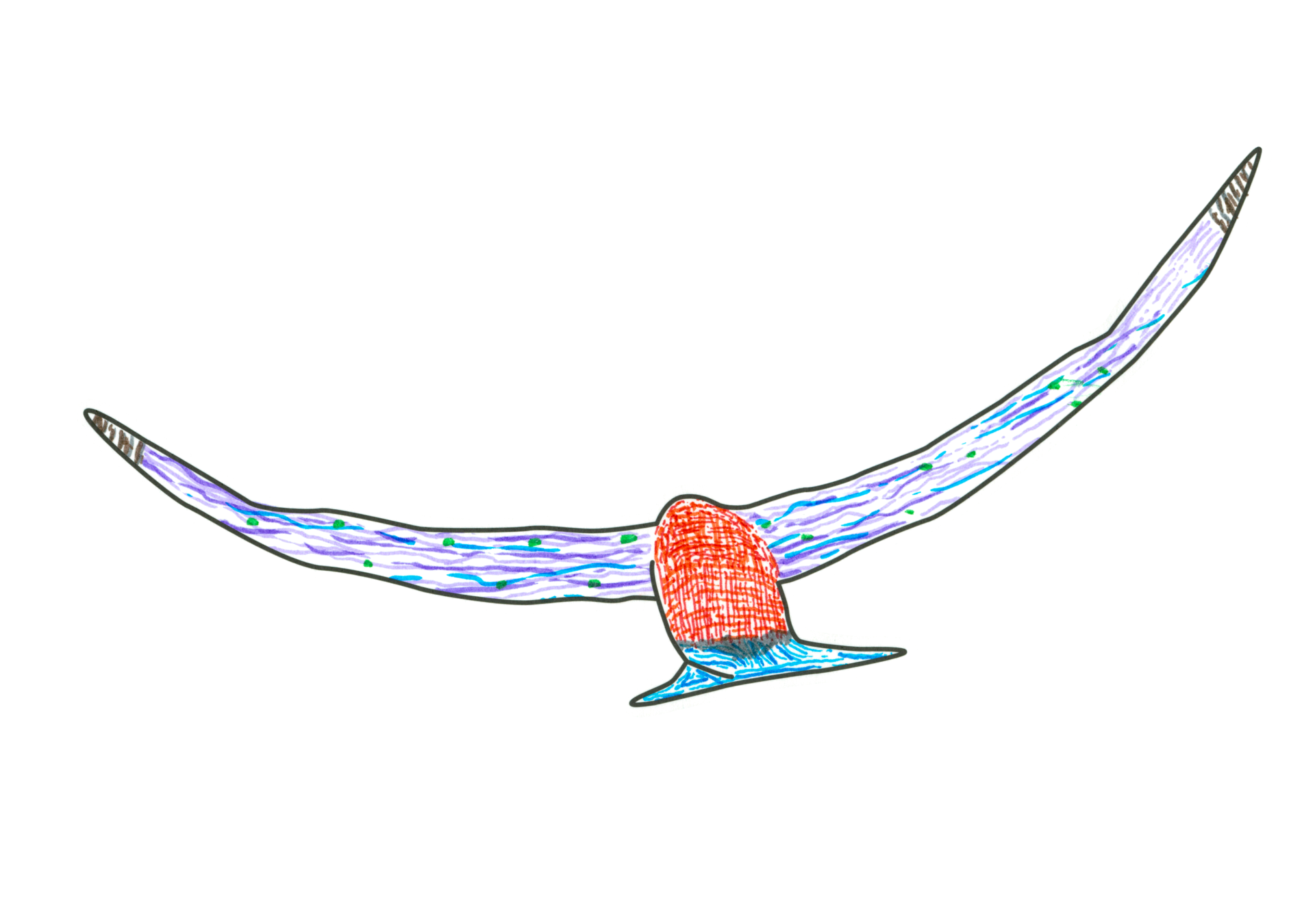 自由飛翔的天氣鳥