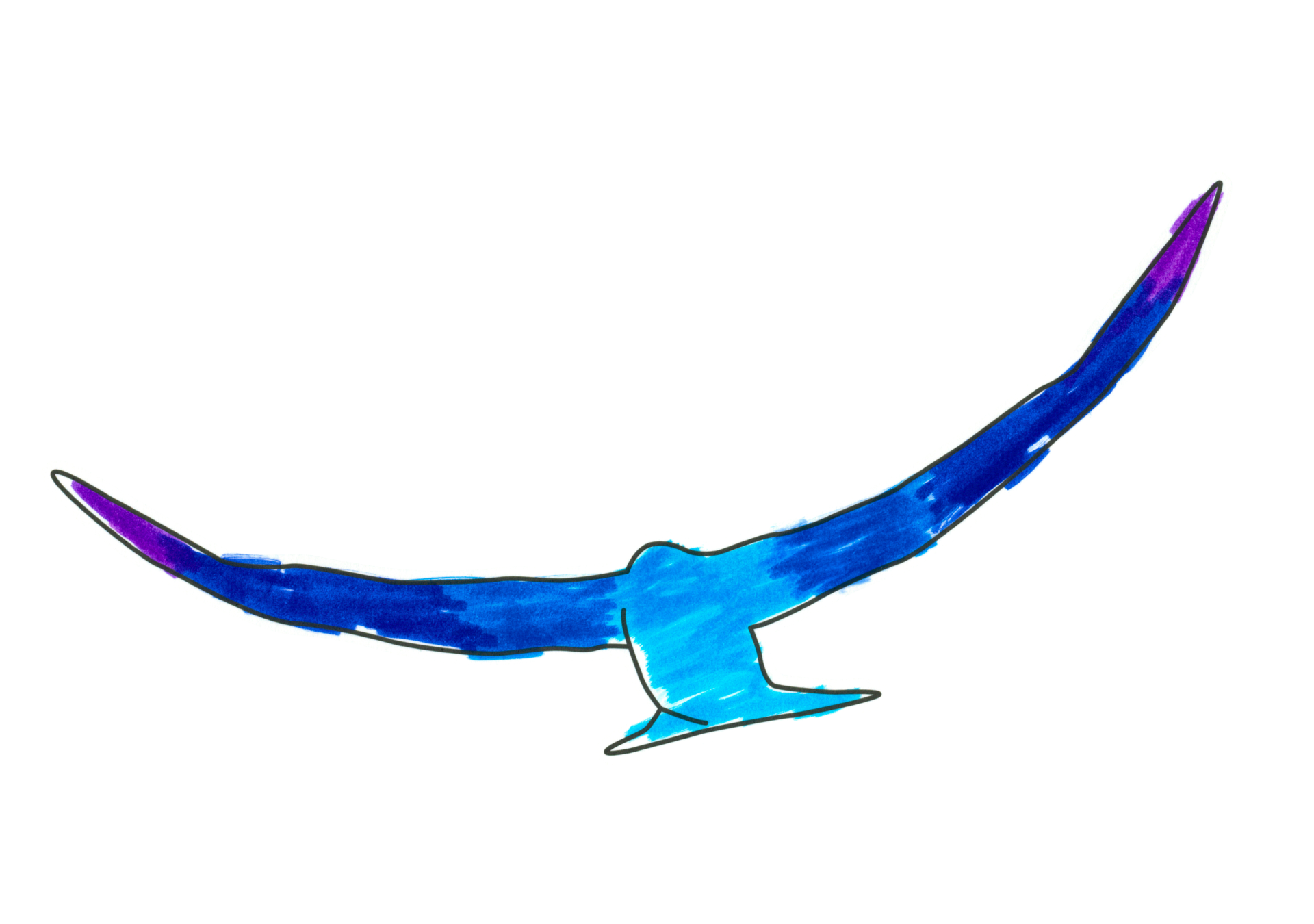自由飛翔的天氣鳥