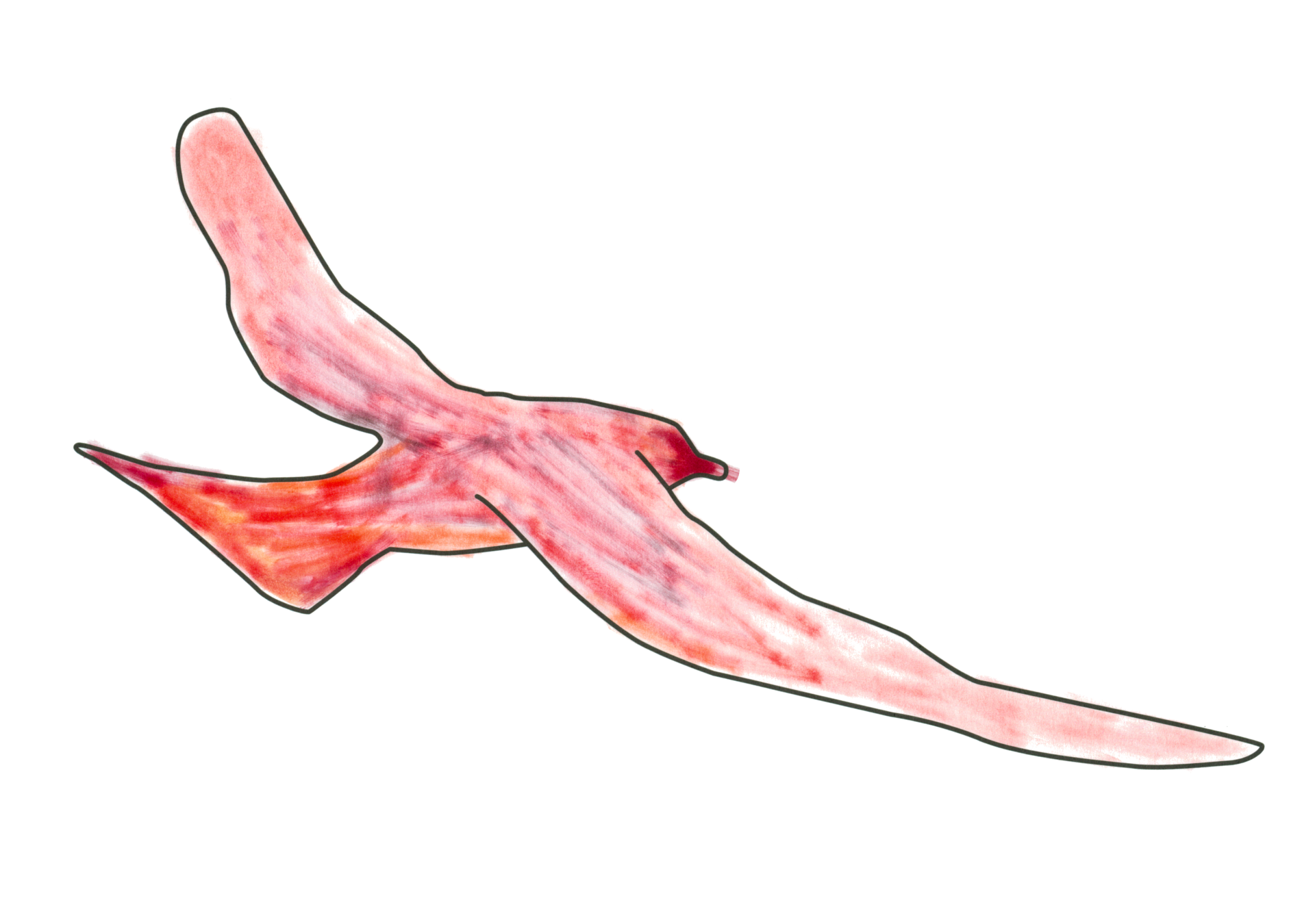 16228 焱焱