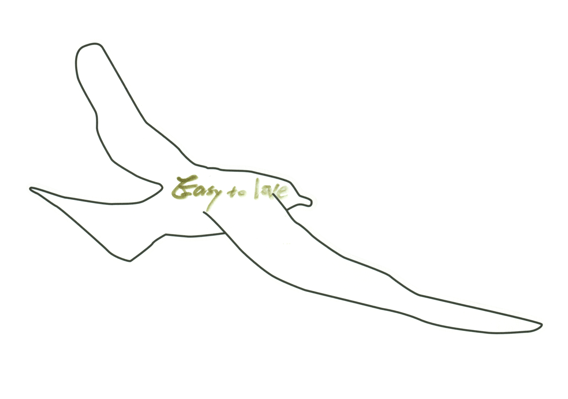 自由飛翔的天氣鳥