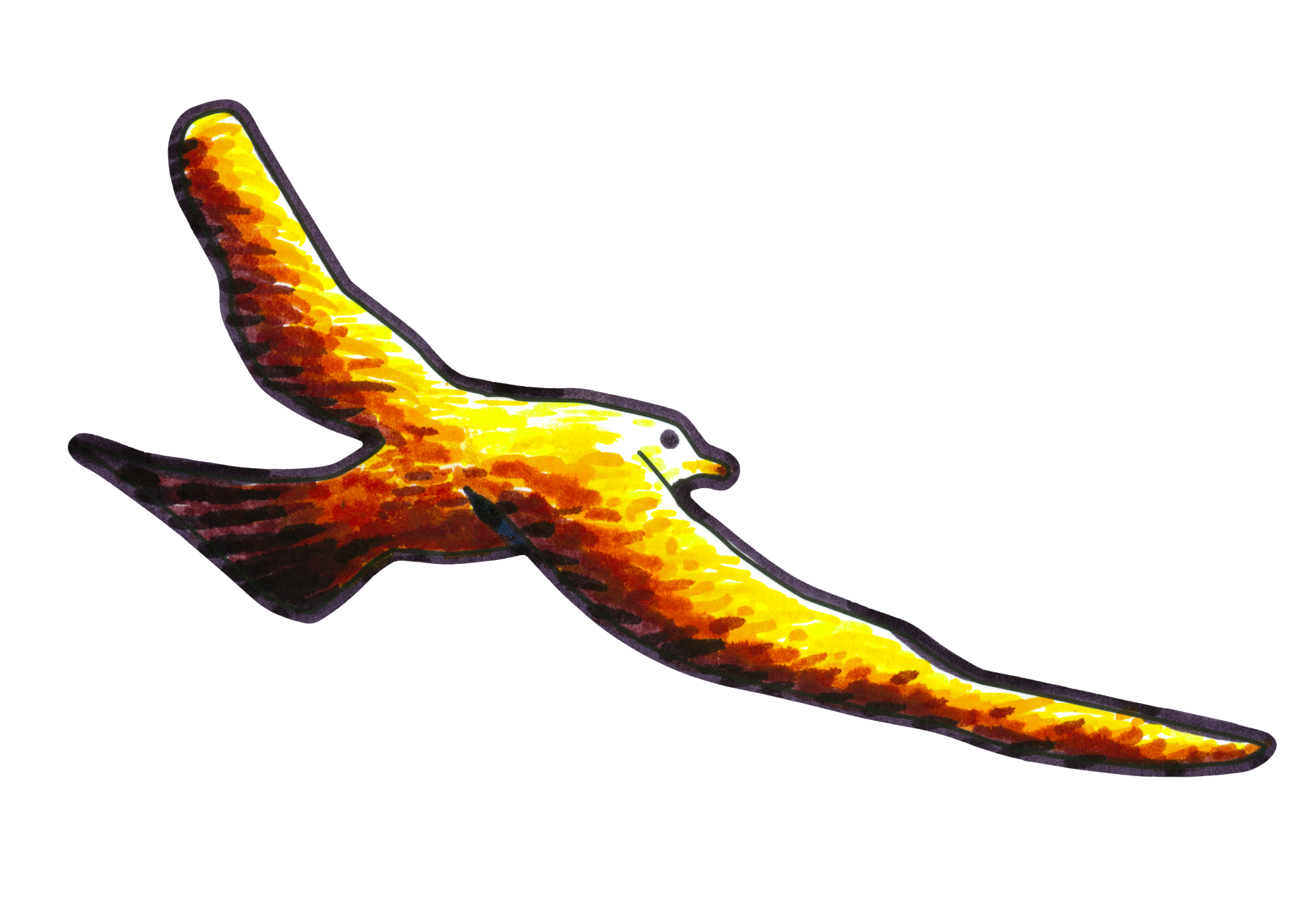 火鳥