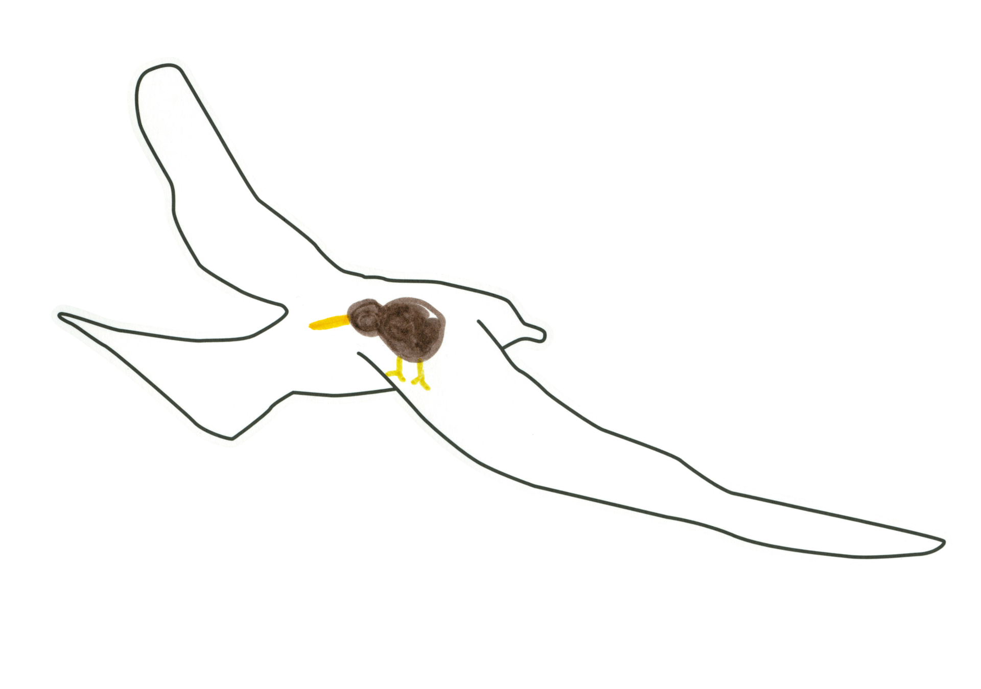 自由飛翔的天氣鳥