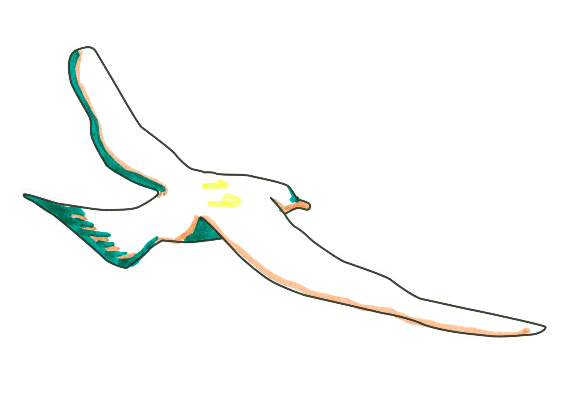 自由飛翔的天氣鳥