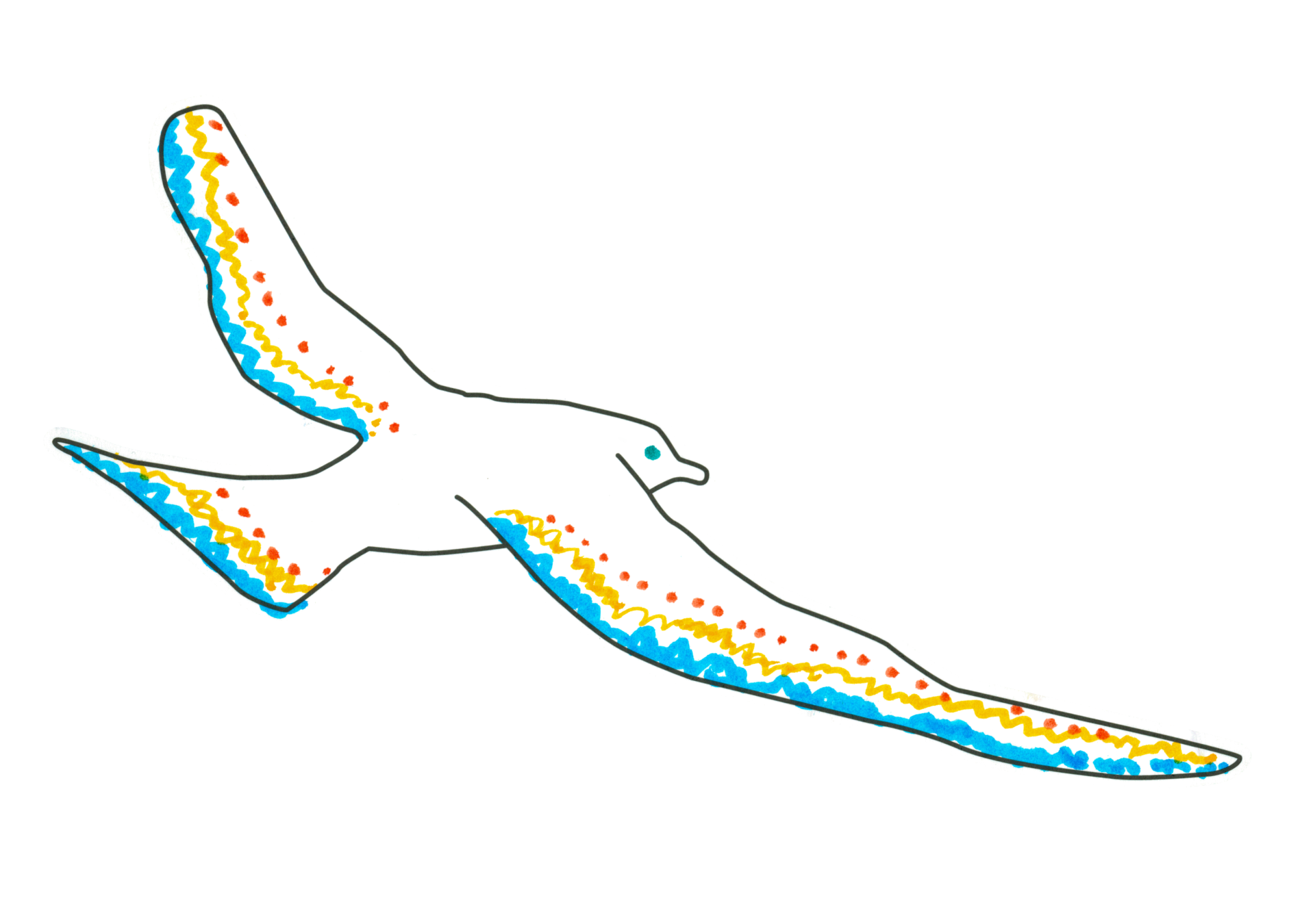 ayu
