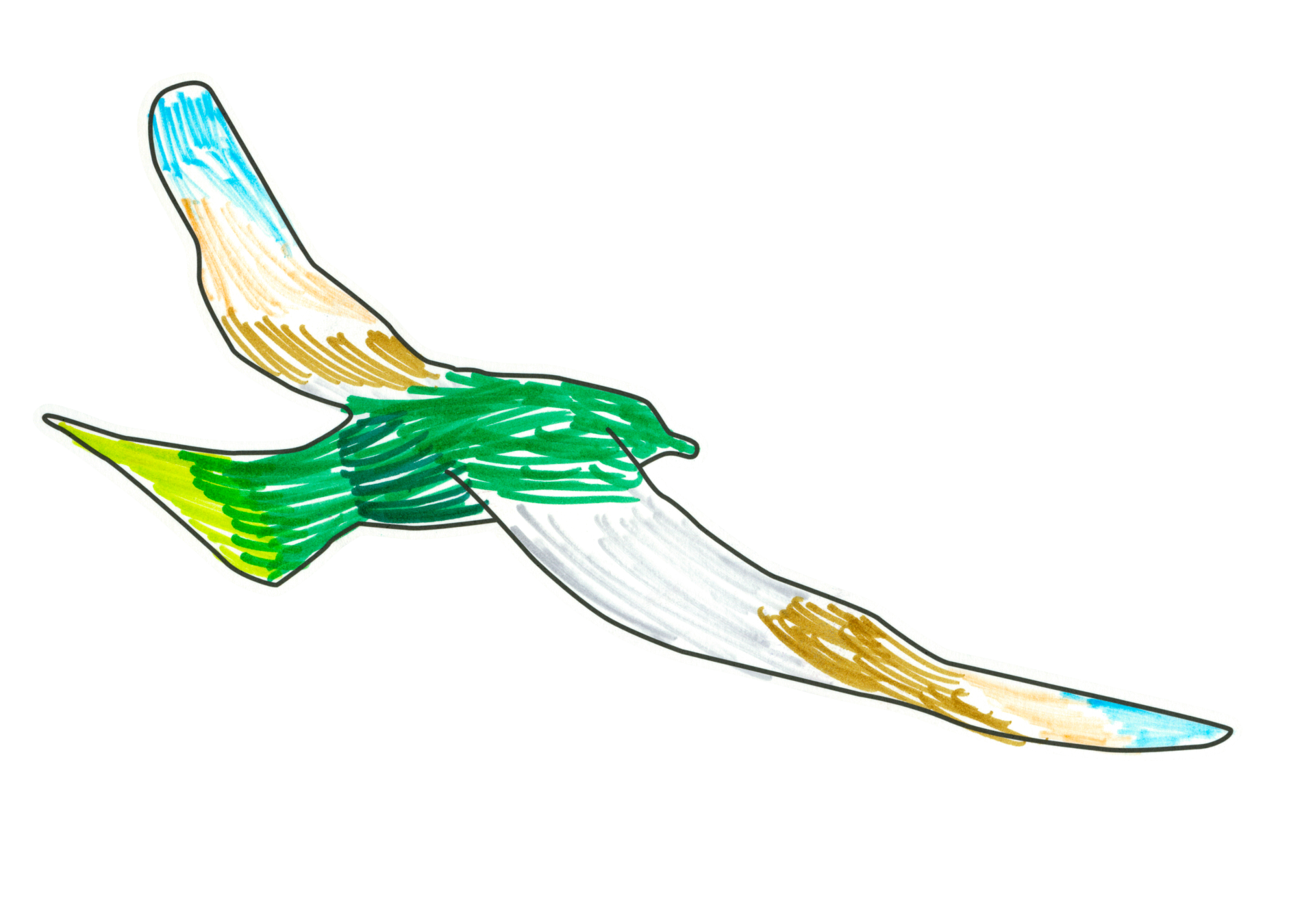 自由飛翔的天氣鳥