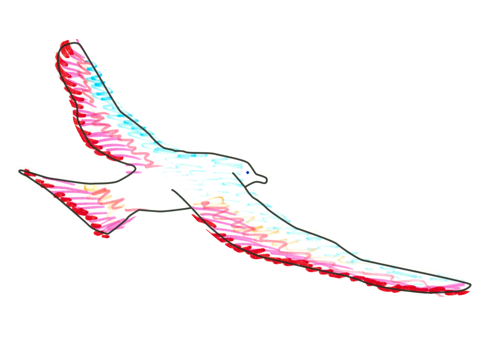鵬鳥