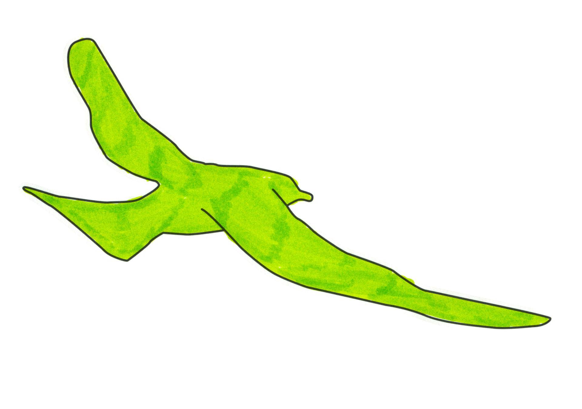 Xavier
