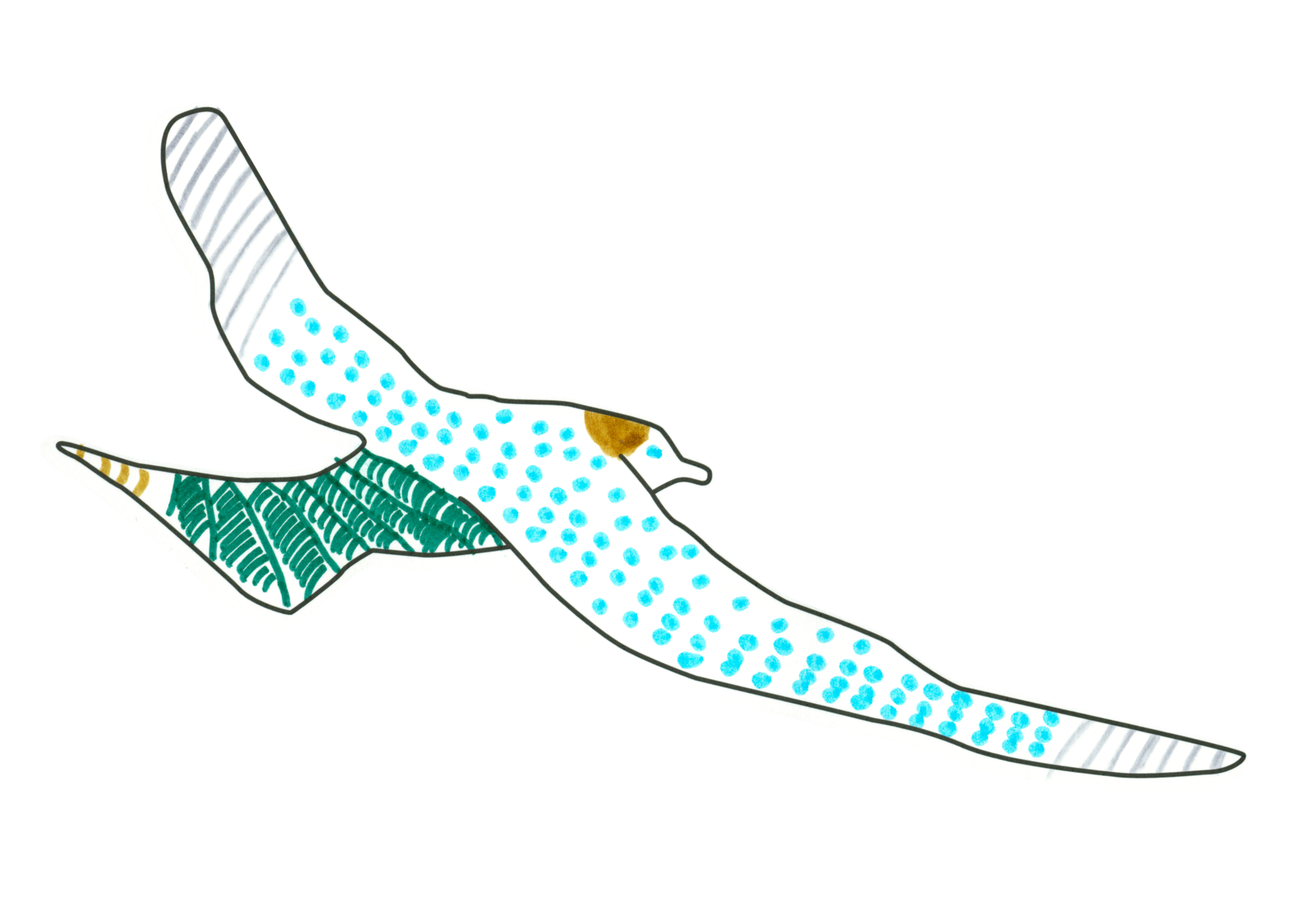 自由飛翔的天氣鳥