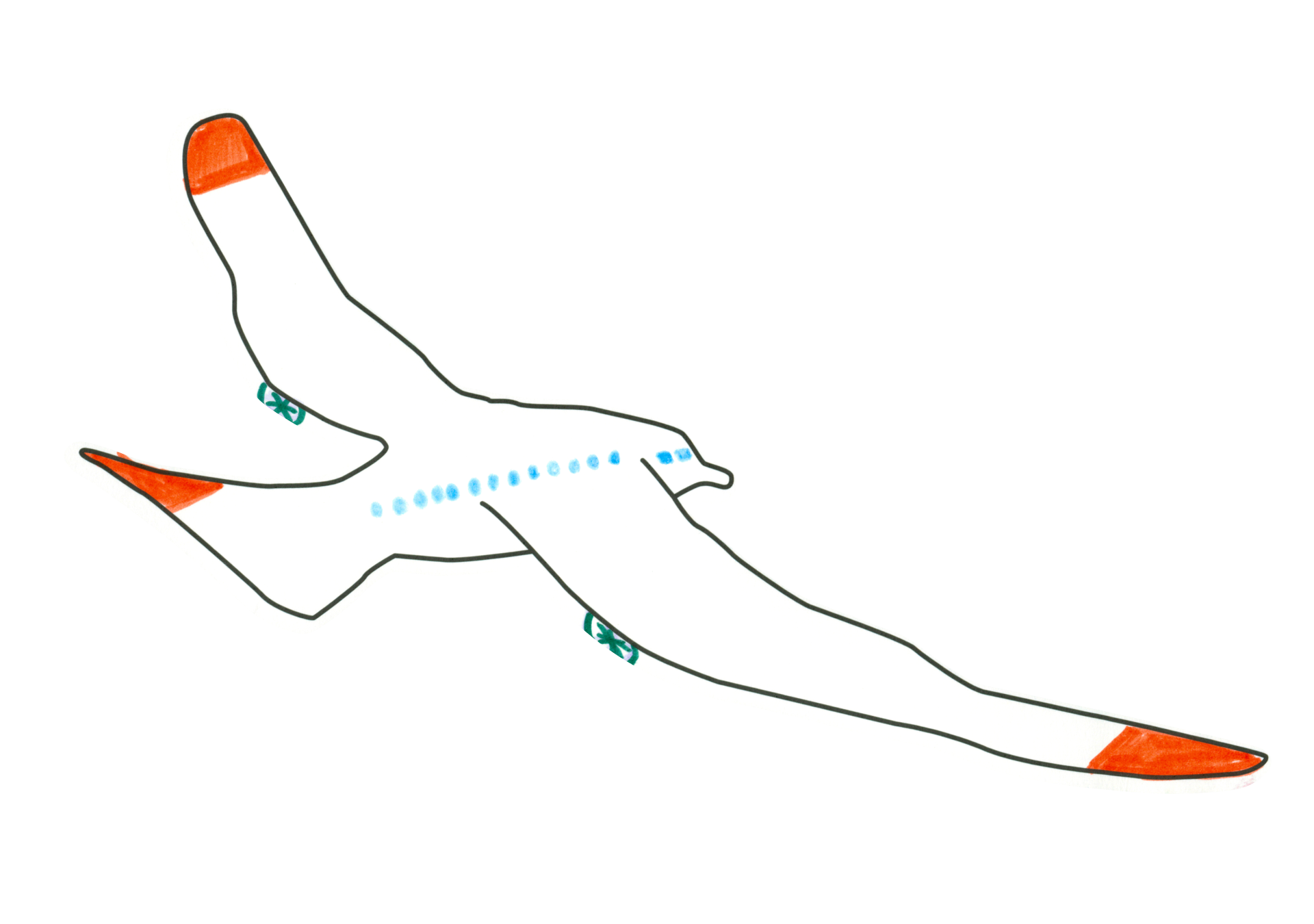 Air Bird