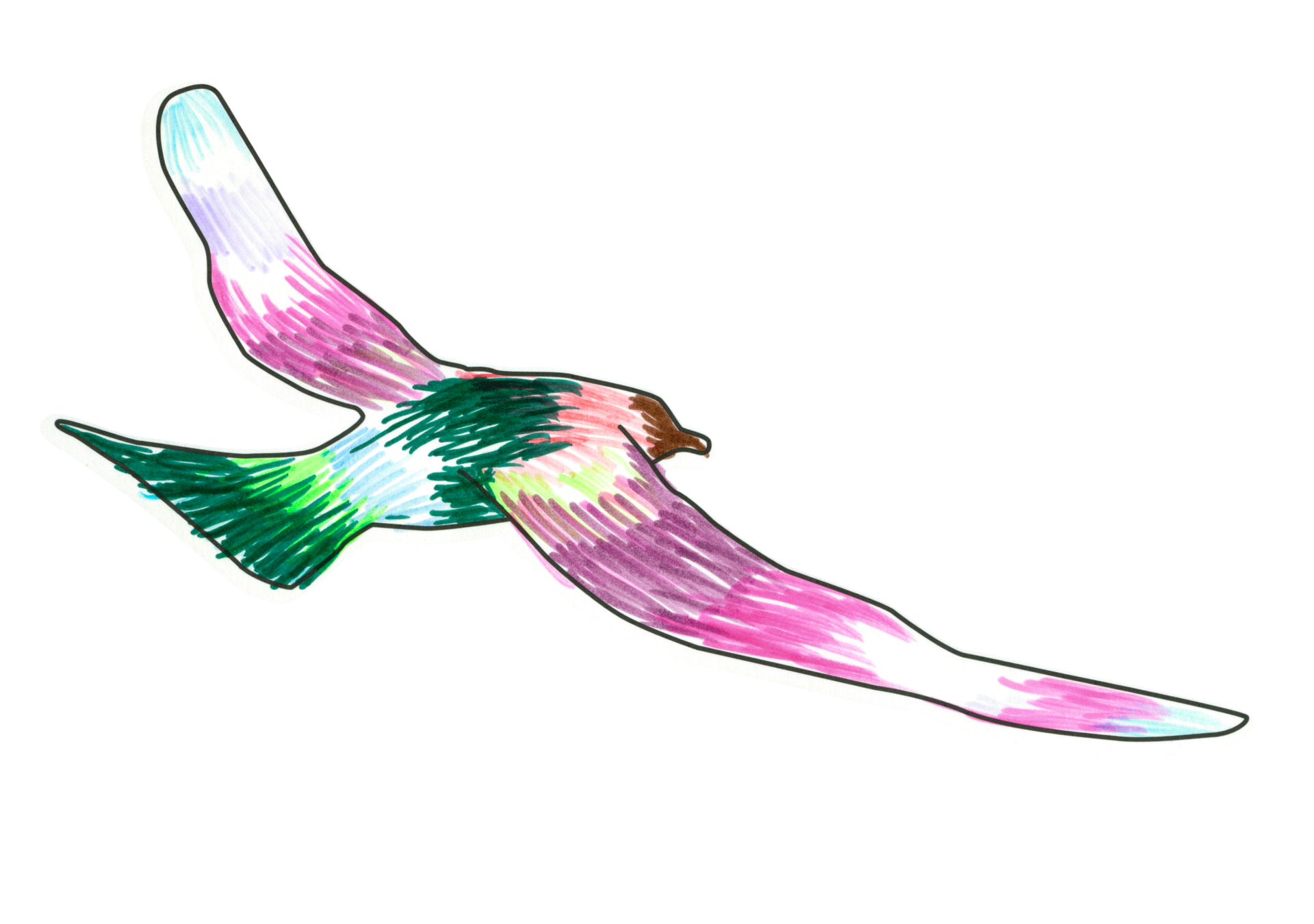 自由飛翔的天氣鳥