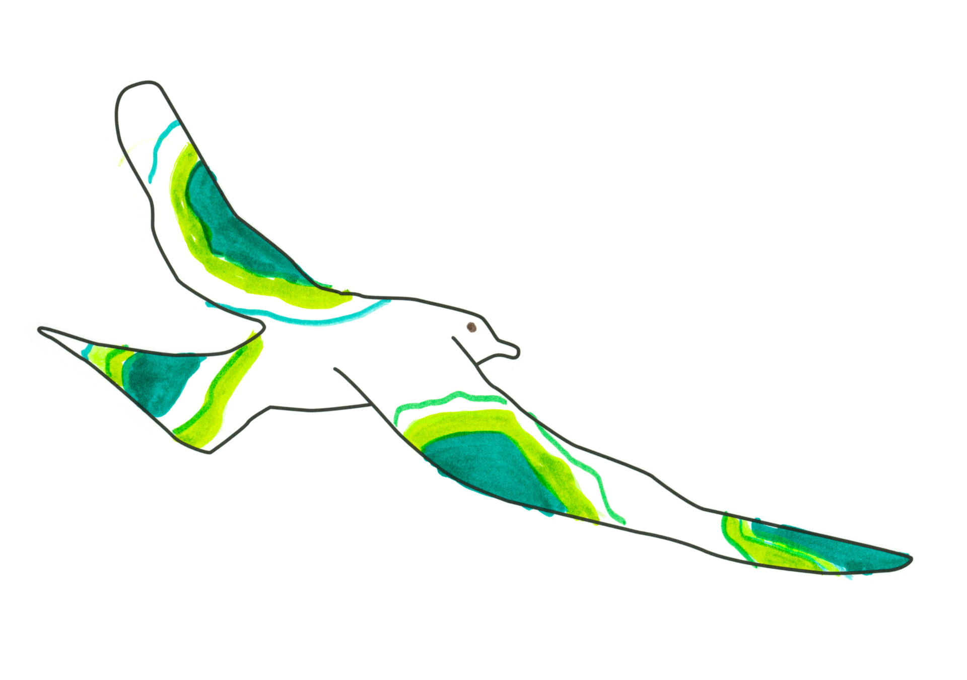自由飛翔的天氣鳥